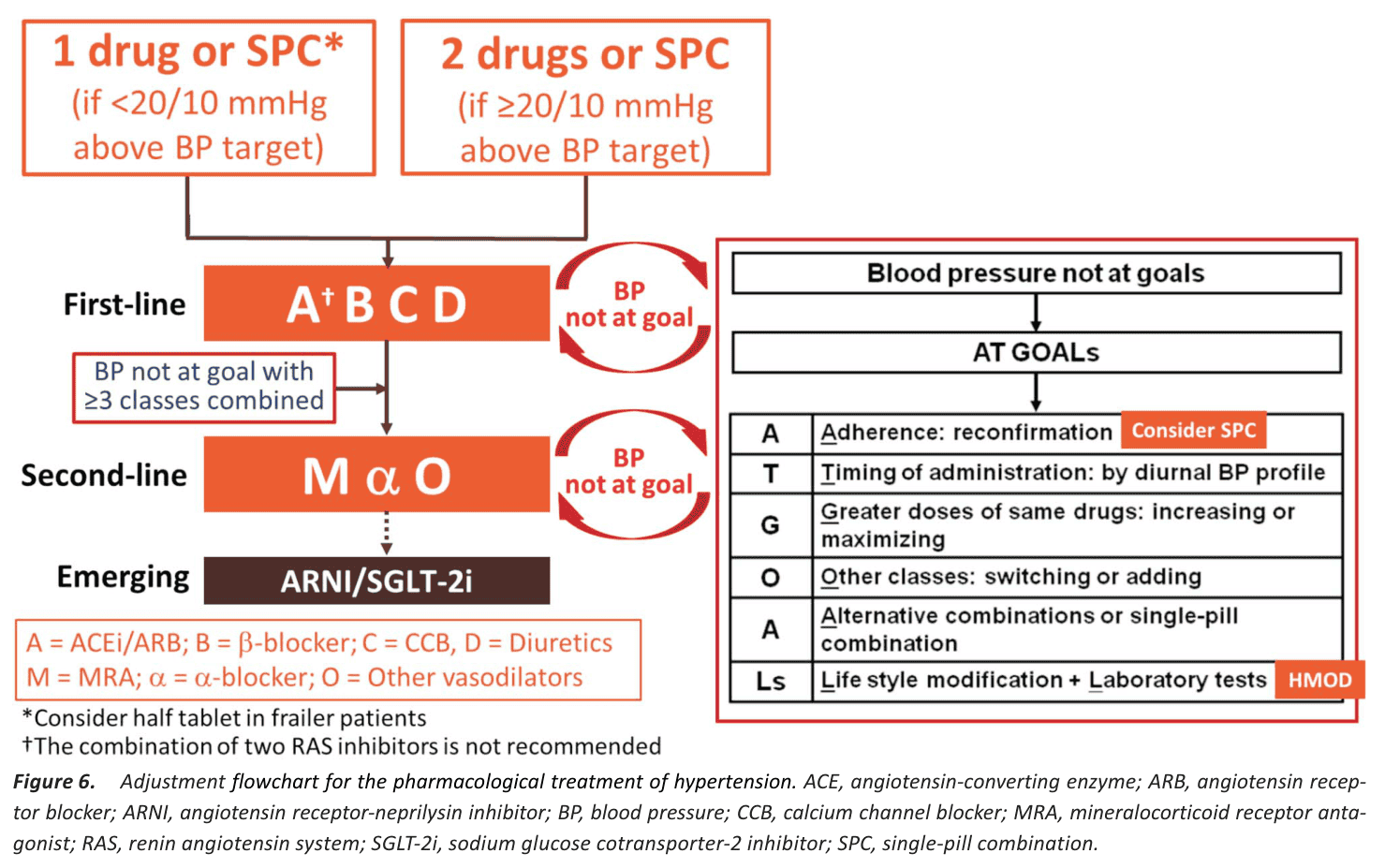 Figure 6 pharmacological adjustment flowchart