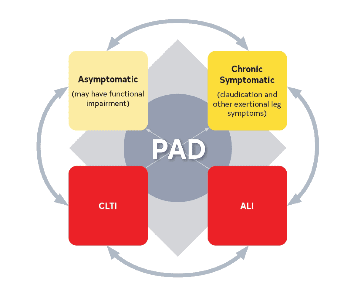 ACC/AHA lepad2024 — Figure 1
