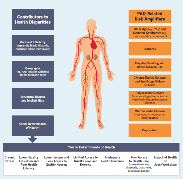 ACC/AHA lepad2024 — Figure 3