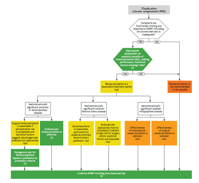 ACC/AHA lepad2024 — Figure 5