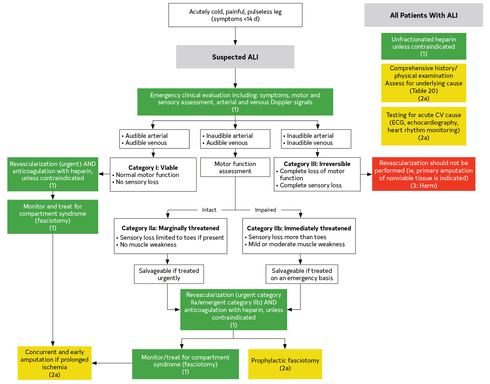 ACC/AHA lepad2024 — Figure 8