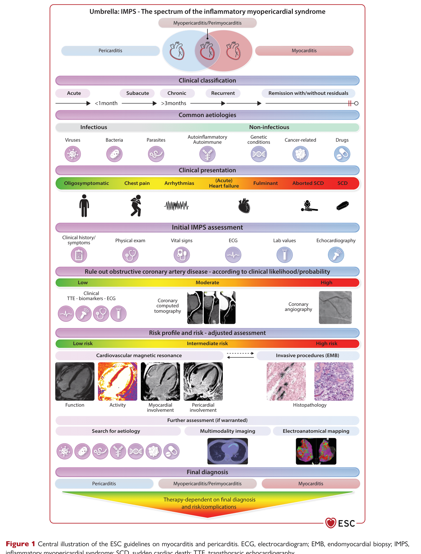 2025 ESC Myocarditis & Pericarditis — Figure 1