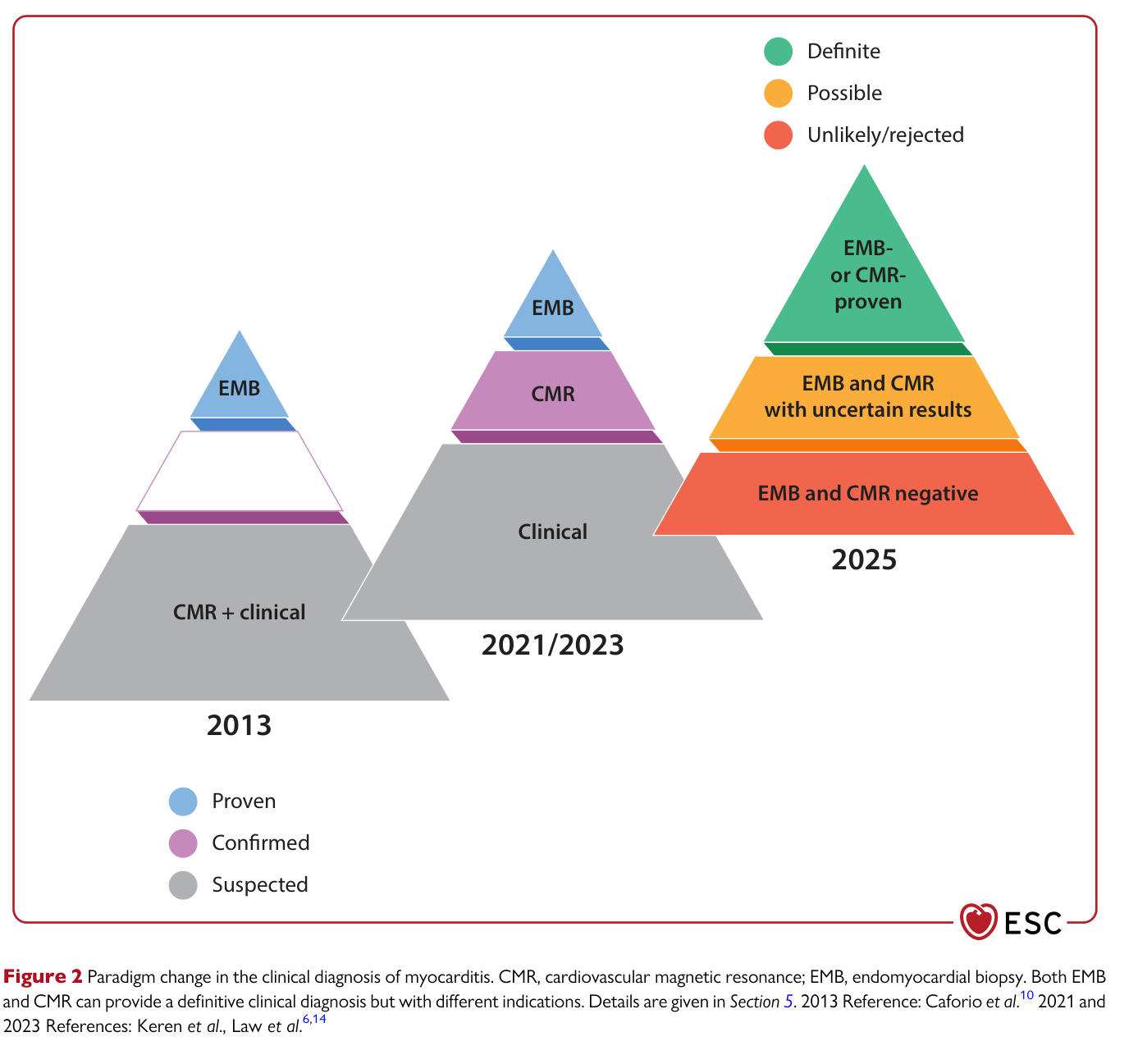 2025 ESC Myocarditis & Pericarditis — Figure 2