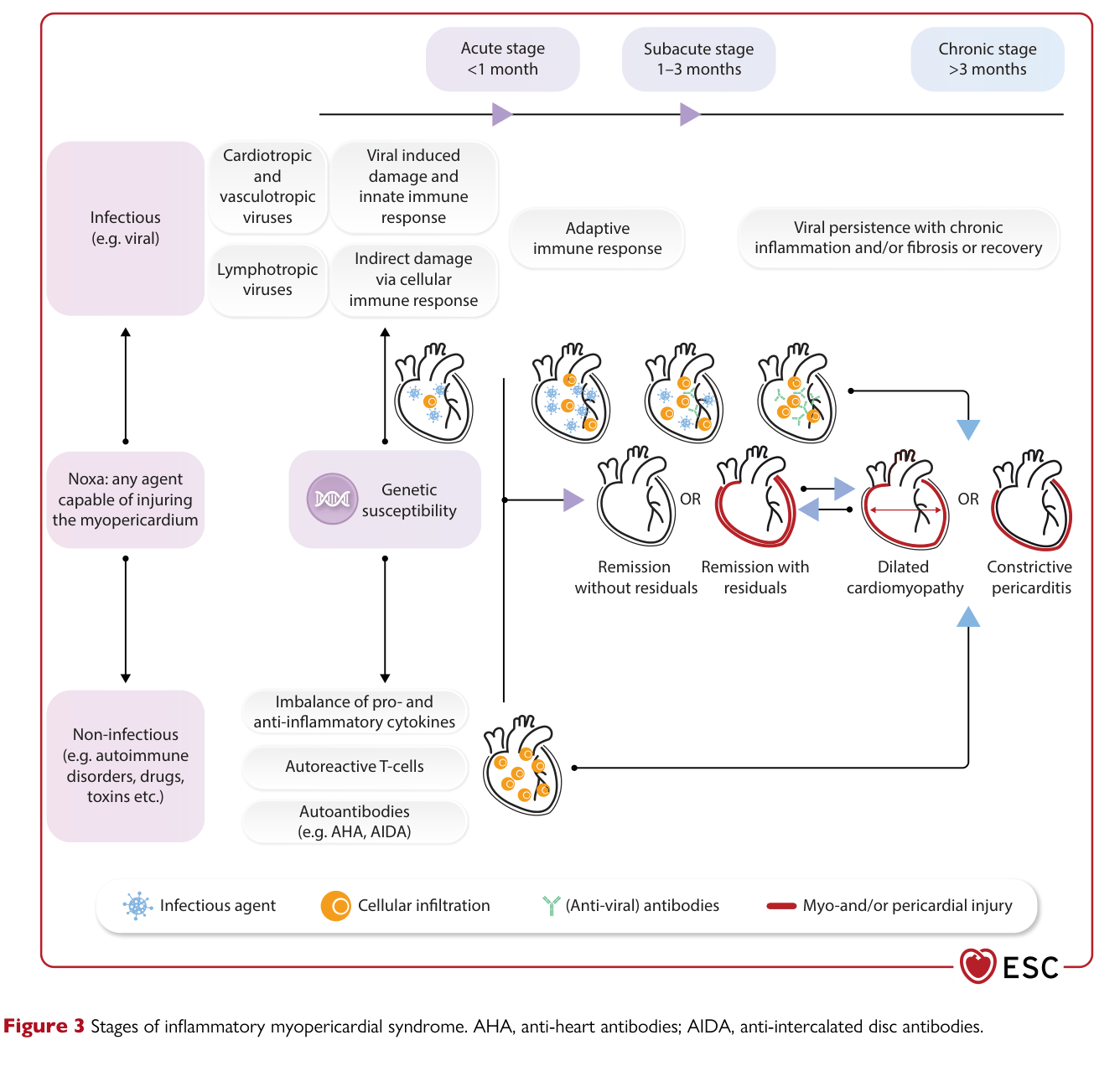 2025 ESC Myocarditis & Pericarditis — Figure 3