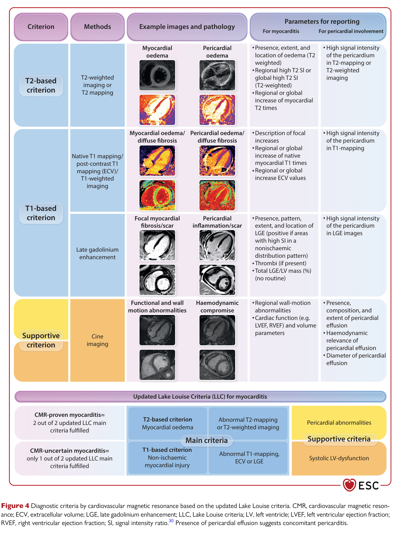 2025 ESC Myocarditis & Pericarditis — Figure 4
