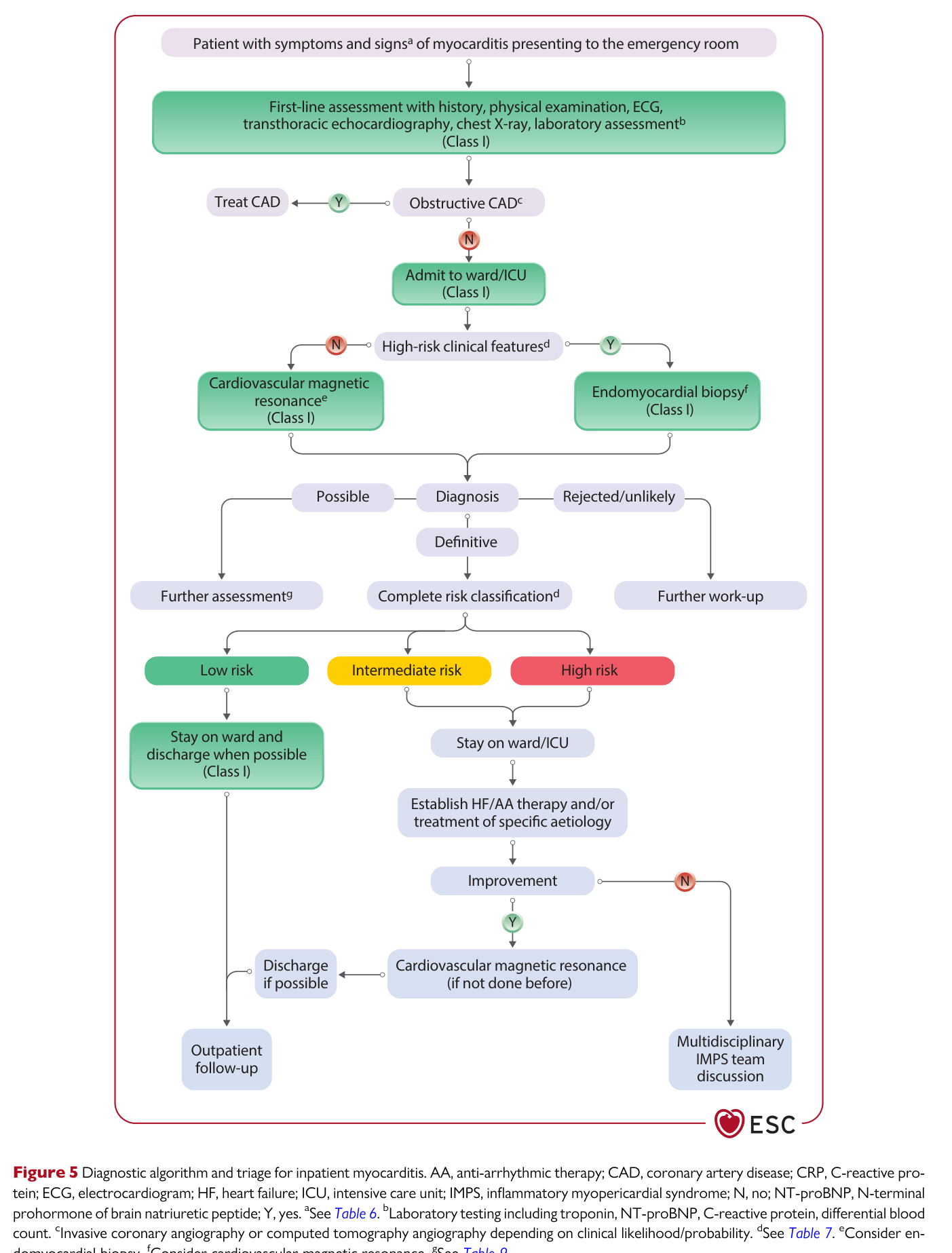 2025 ESC Myocarditis & Pericarditis — Figure 5