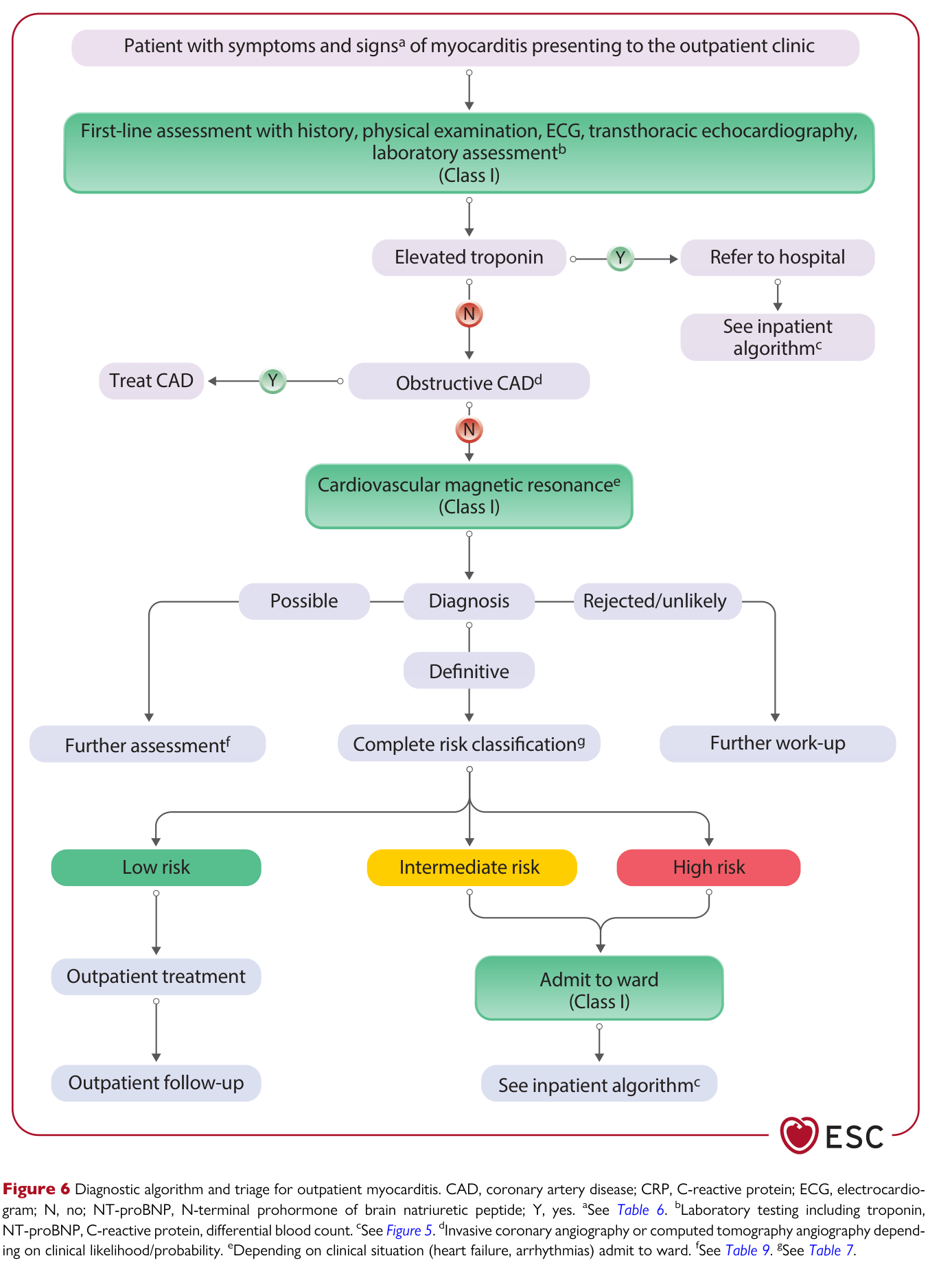 2025 ESC Myocarditis & Pericarditis — Figure 6