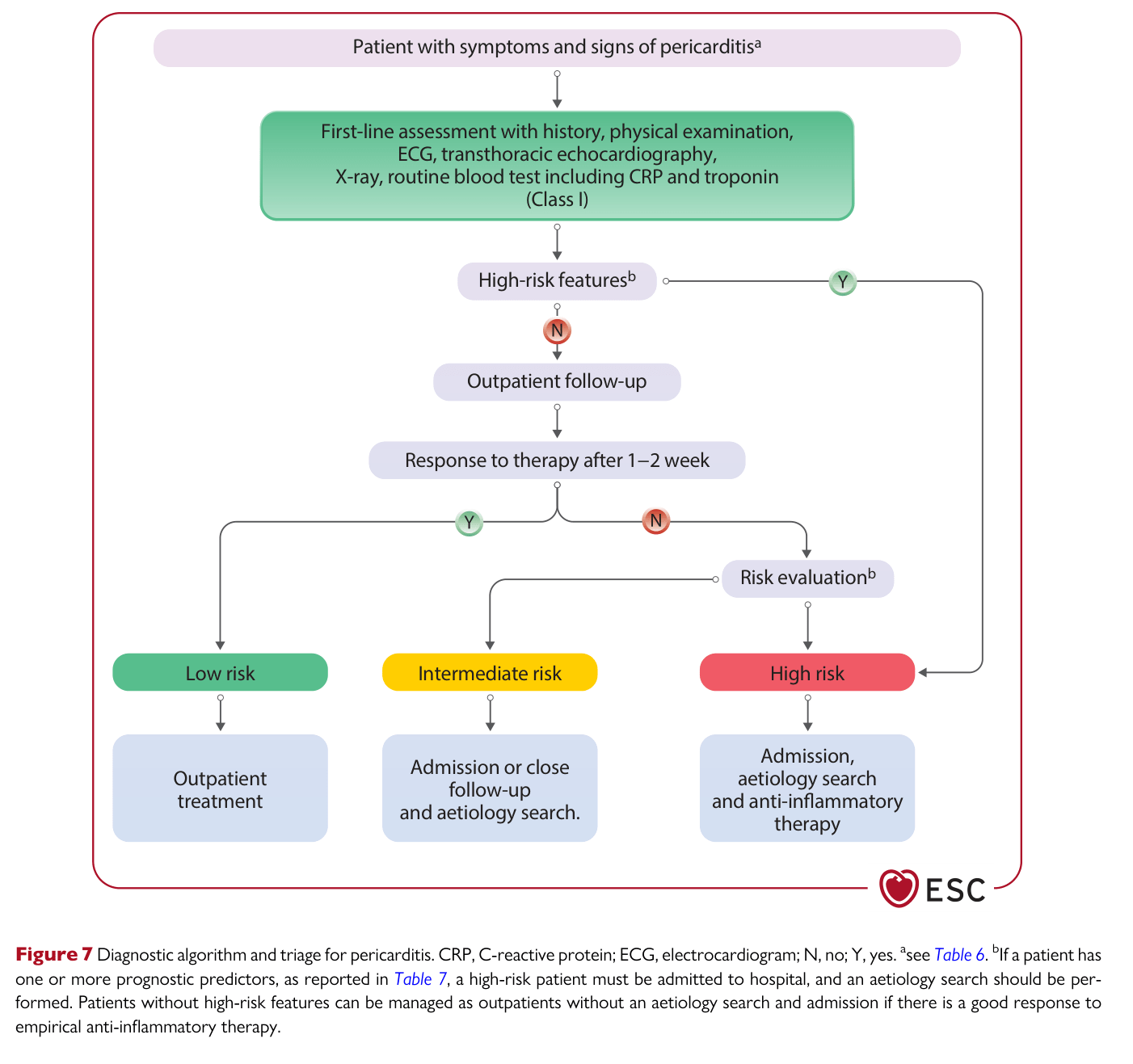 2025 ESC Myocarditis & Pericarditis — Figure 7