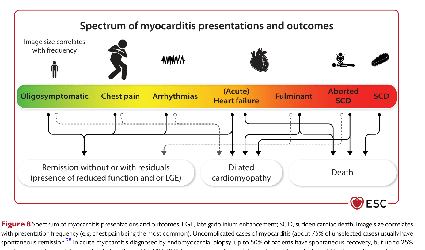 2025 ESC Myocarditis & Pericarditis — Figure 8