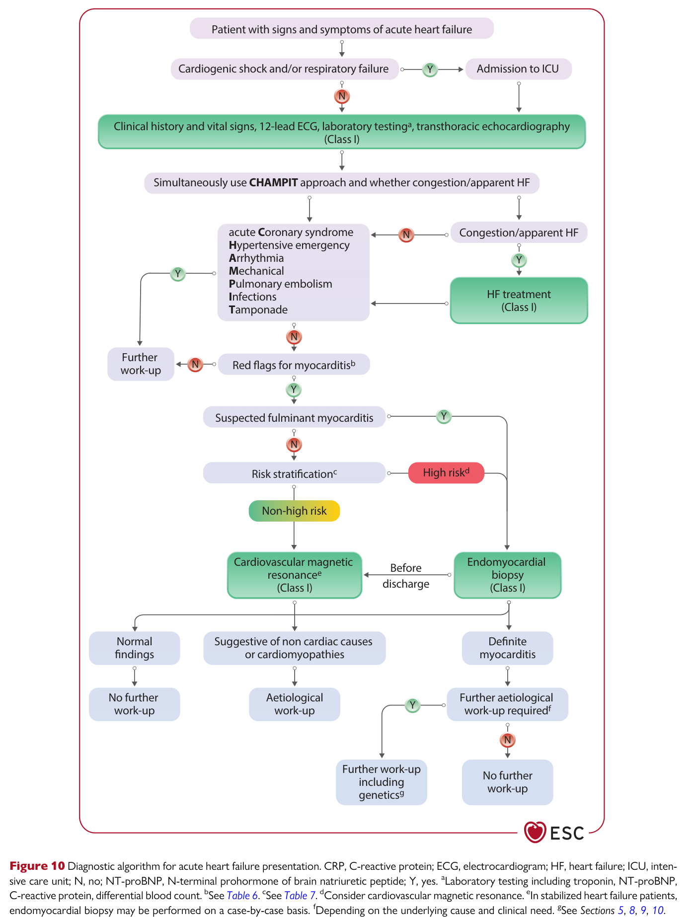 2025 ESC Myocarditis & Pericarditis — Figure 10