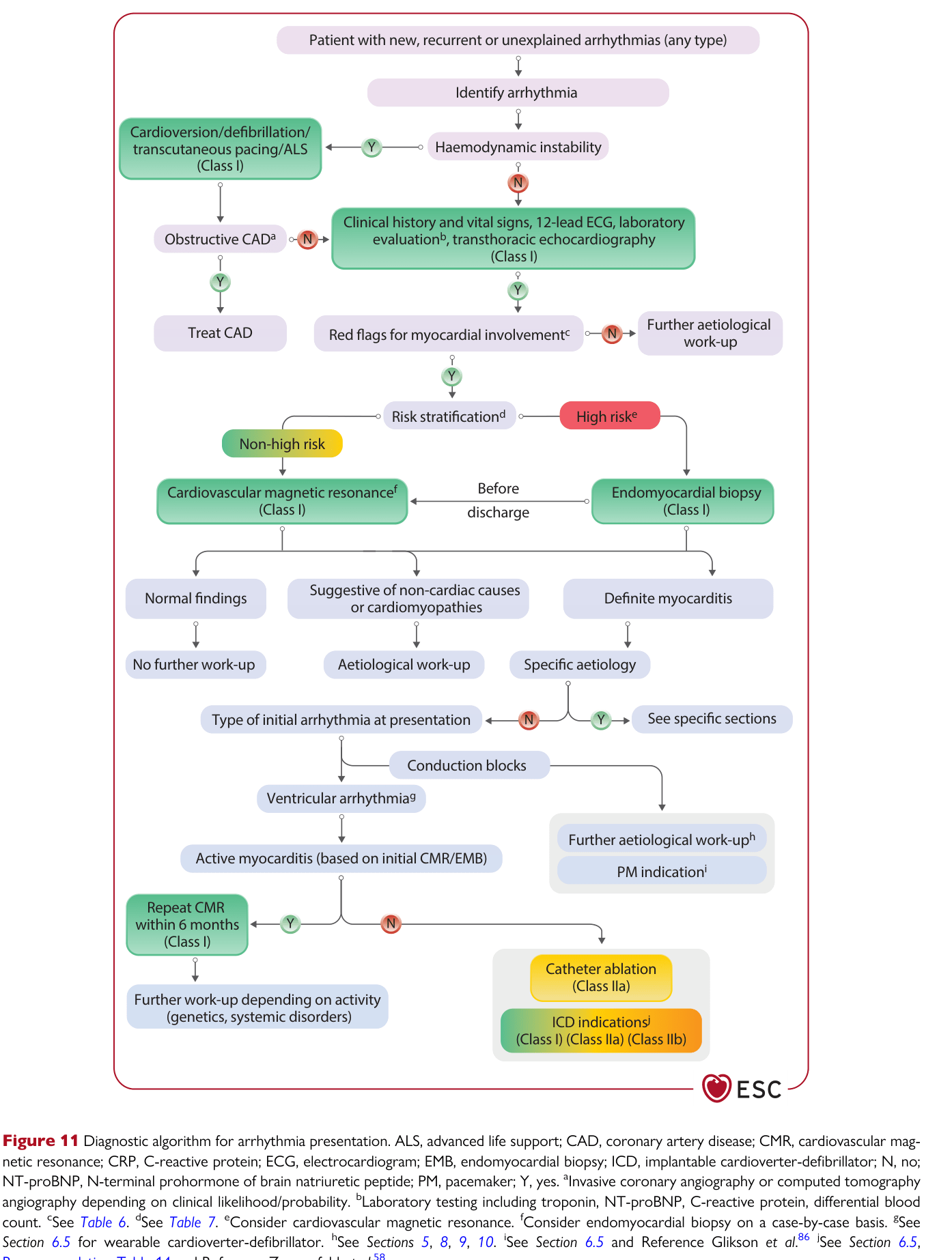 2025 ESC Myocarditis & Pericarditis — Figure 11