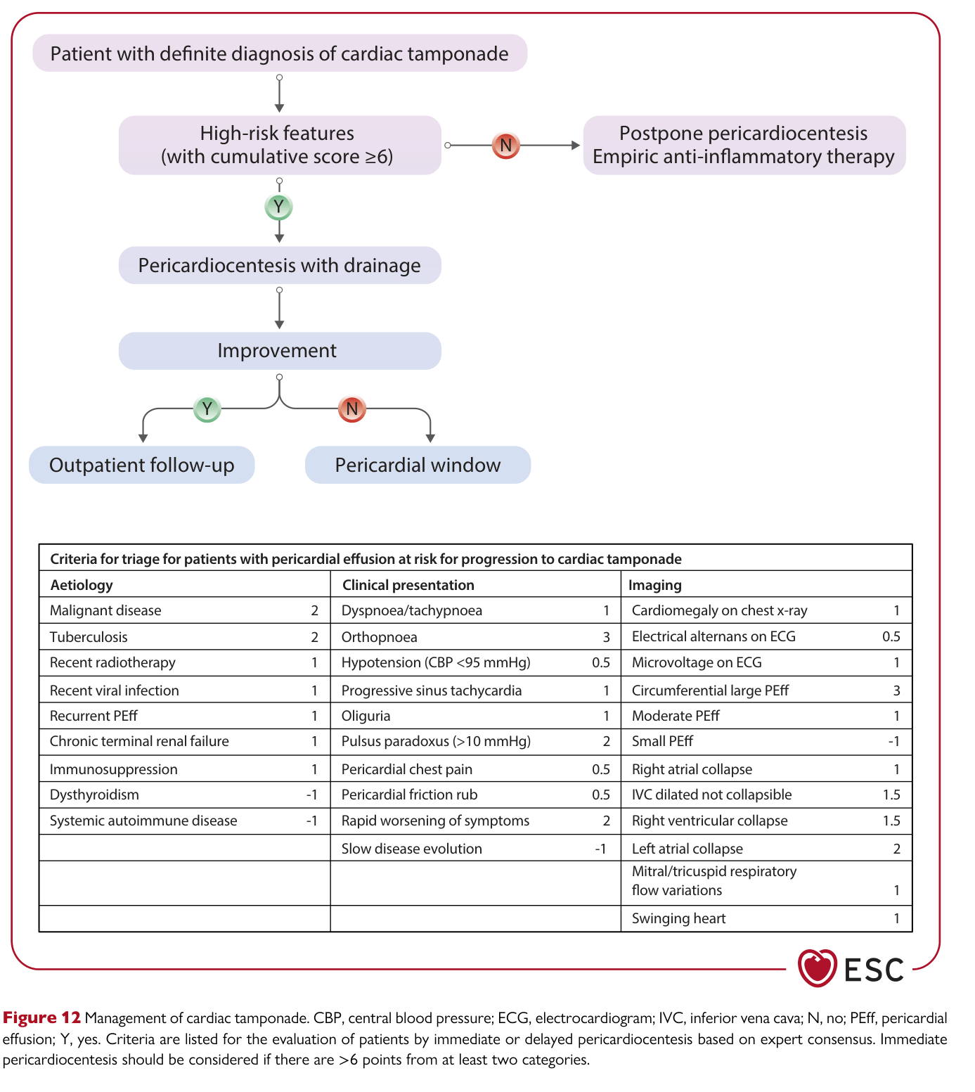 2025 ESC Myocarditis & Pericarditis — Figure 12