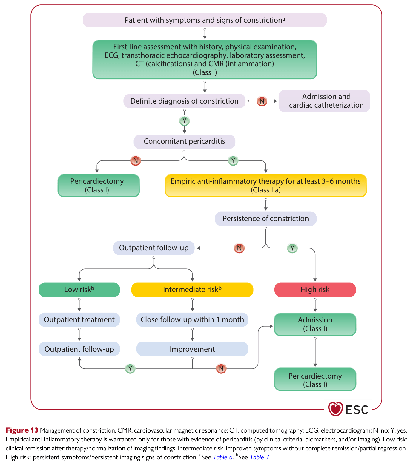 2025 ESC Myocarditis & Pericarditis — Figure 13
