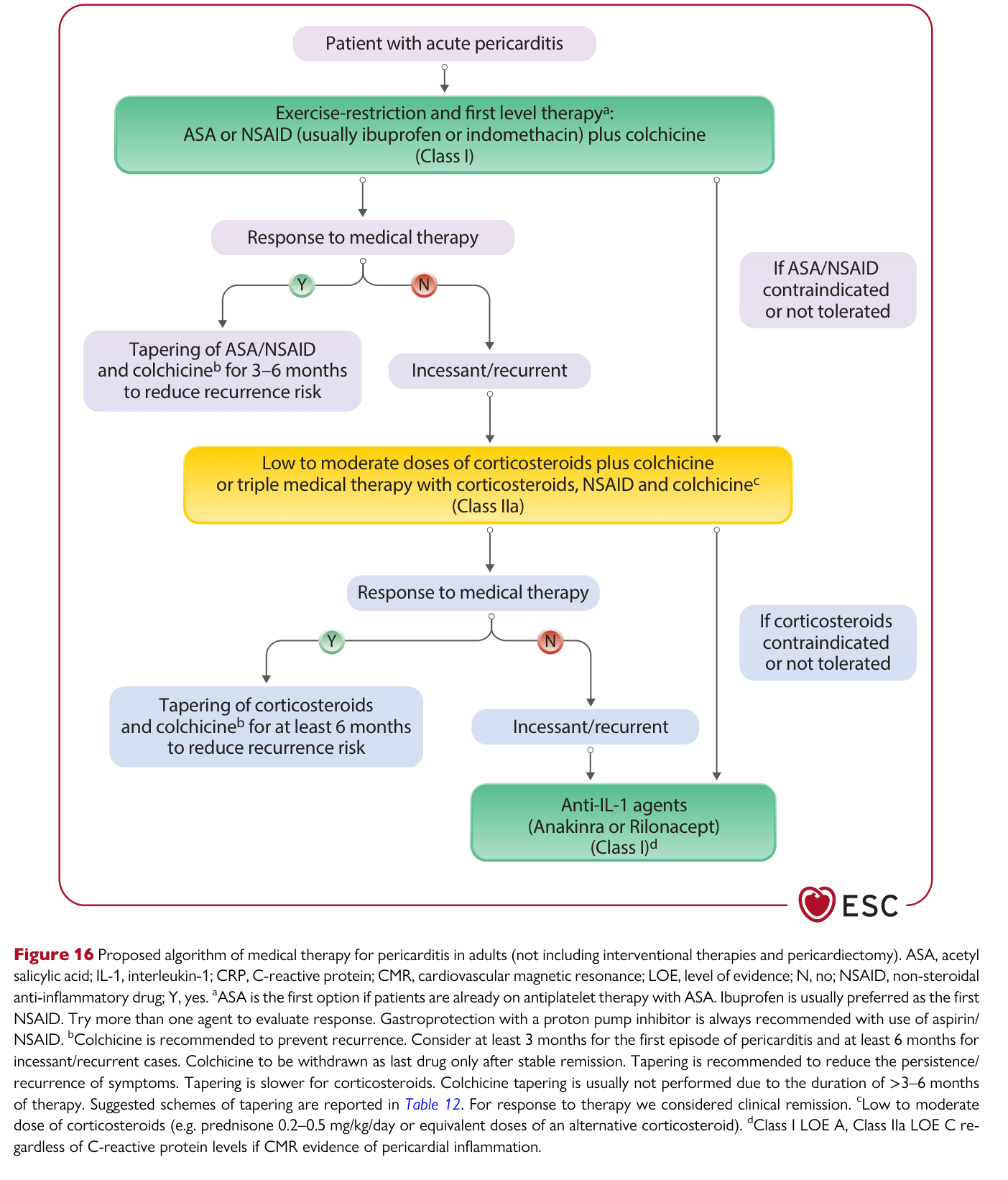 2025 ESC Myocarditis & Pericarditis — Figure 16