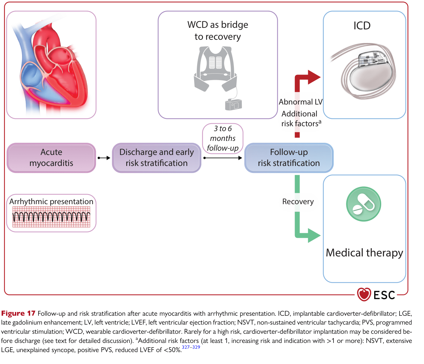 2025 ESC Myocarditis & Pericarditis — Figure 17