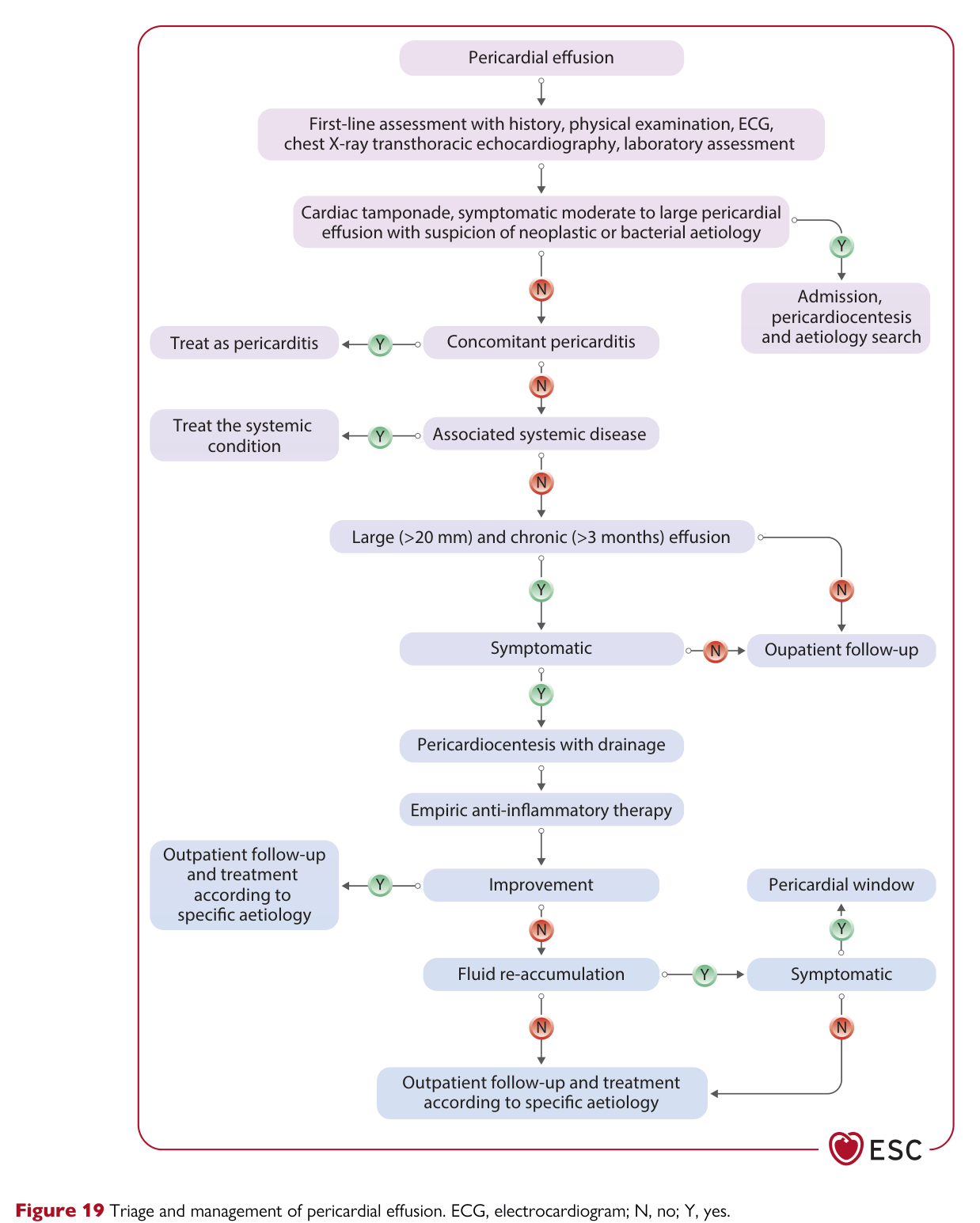2025 ESC Myocarditis & Pericarditis — Figure 19
