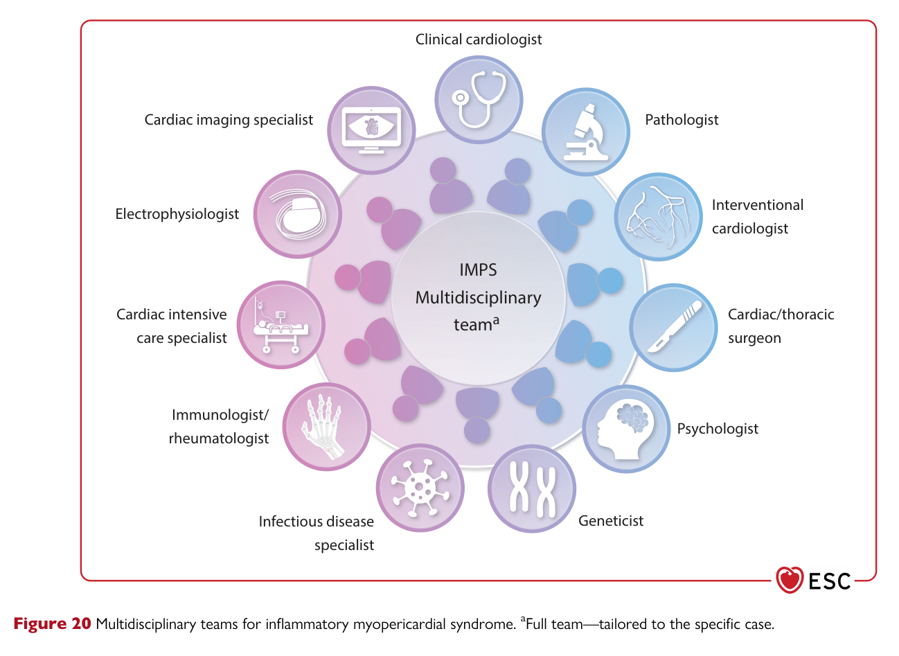 2025 ESC Myocarditis & Pericarditis — Figure 20