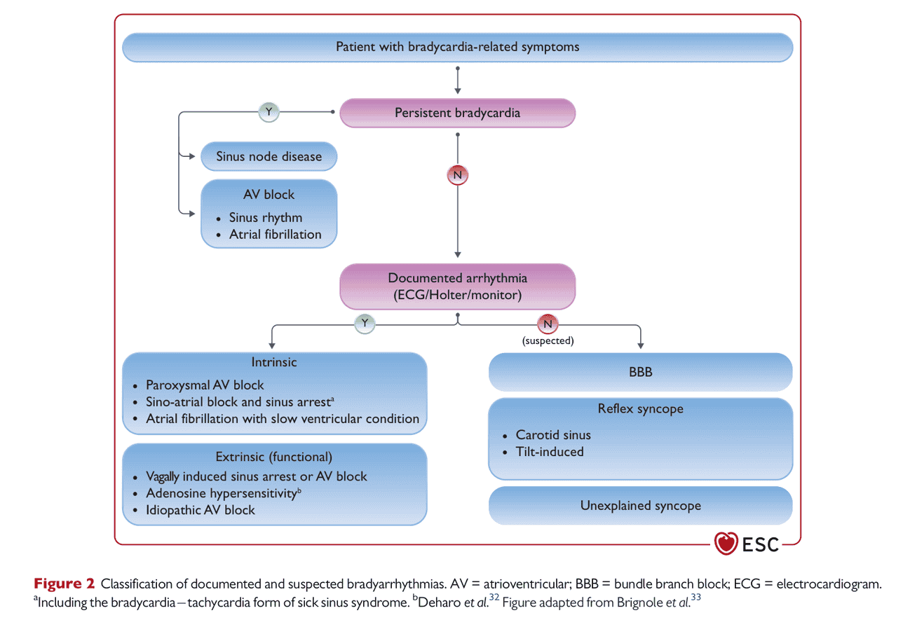 ESC pace2021 — Figure 2