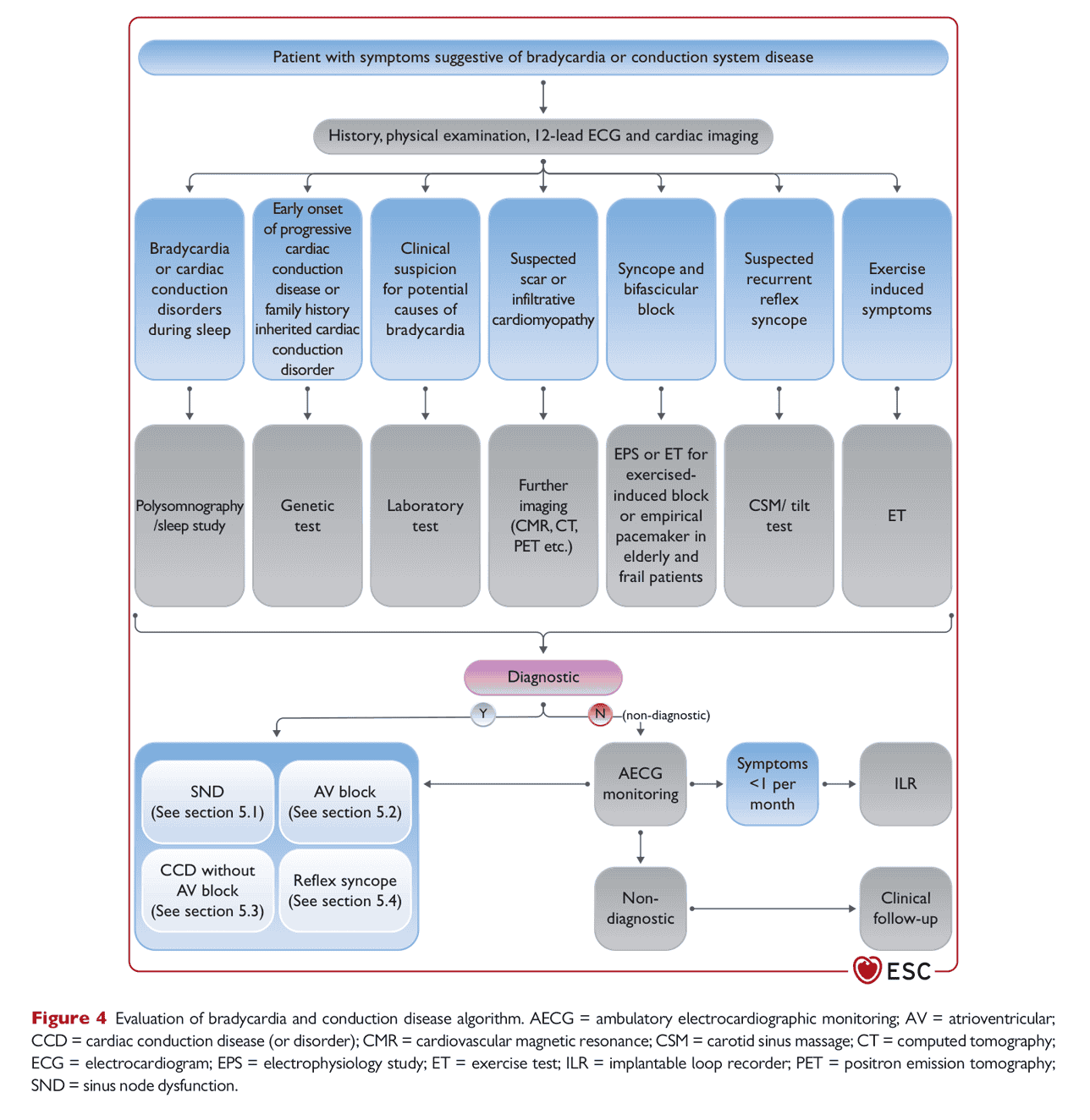 ESC pace2021 — Figure 4