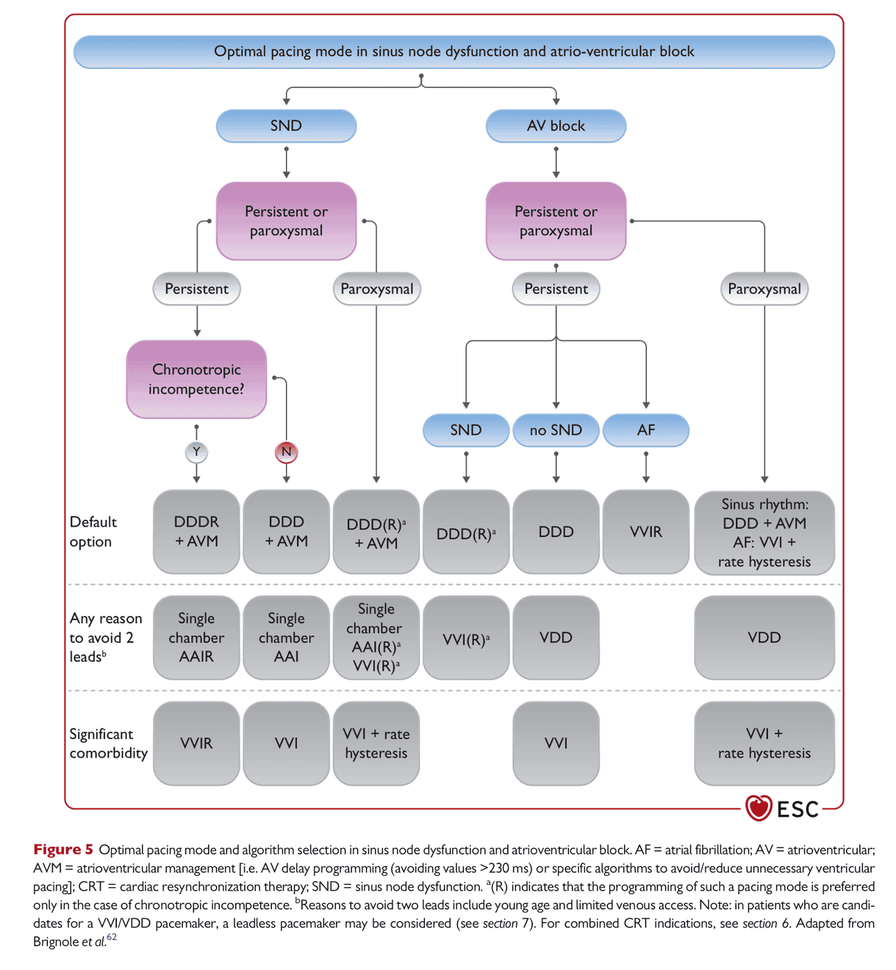 ESC pace2021 — Figure 5