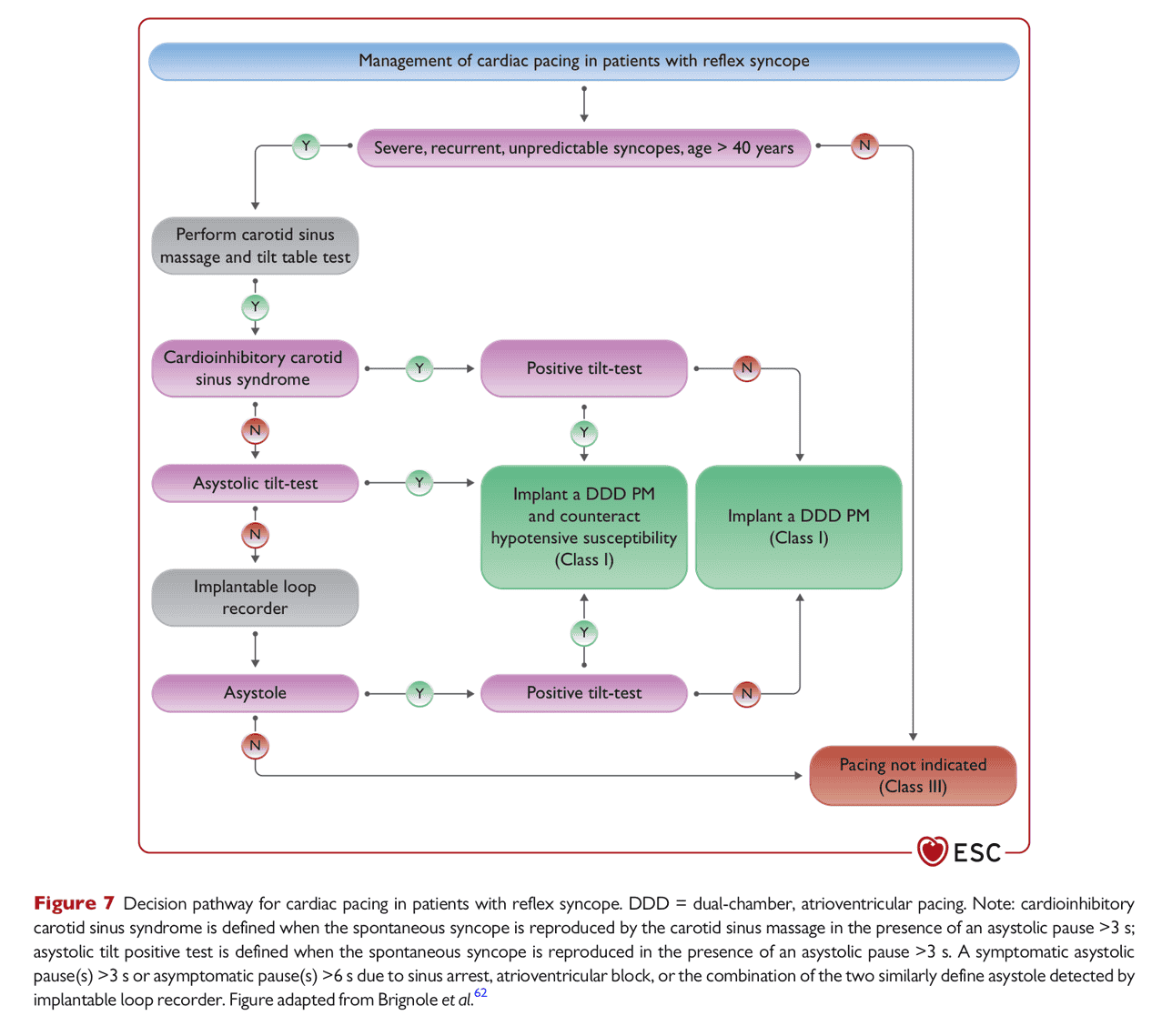 ESC pace2021 — Figure 7