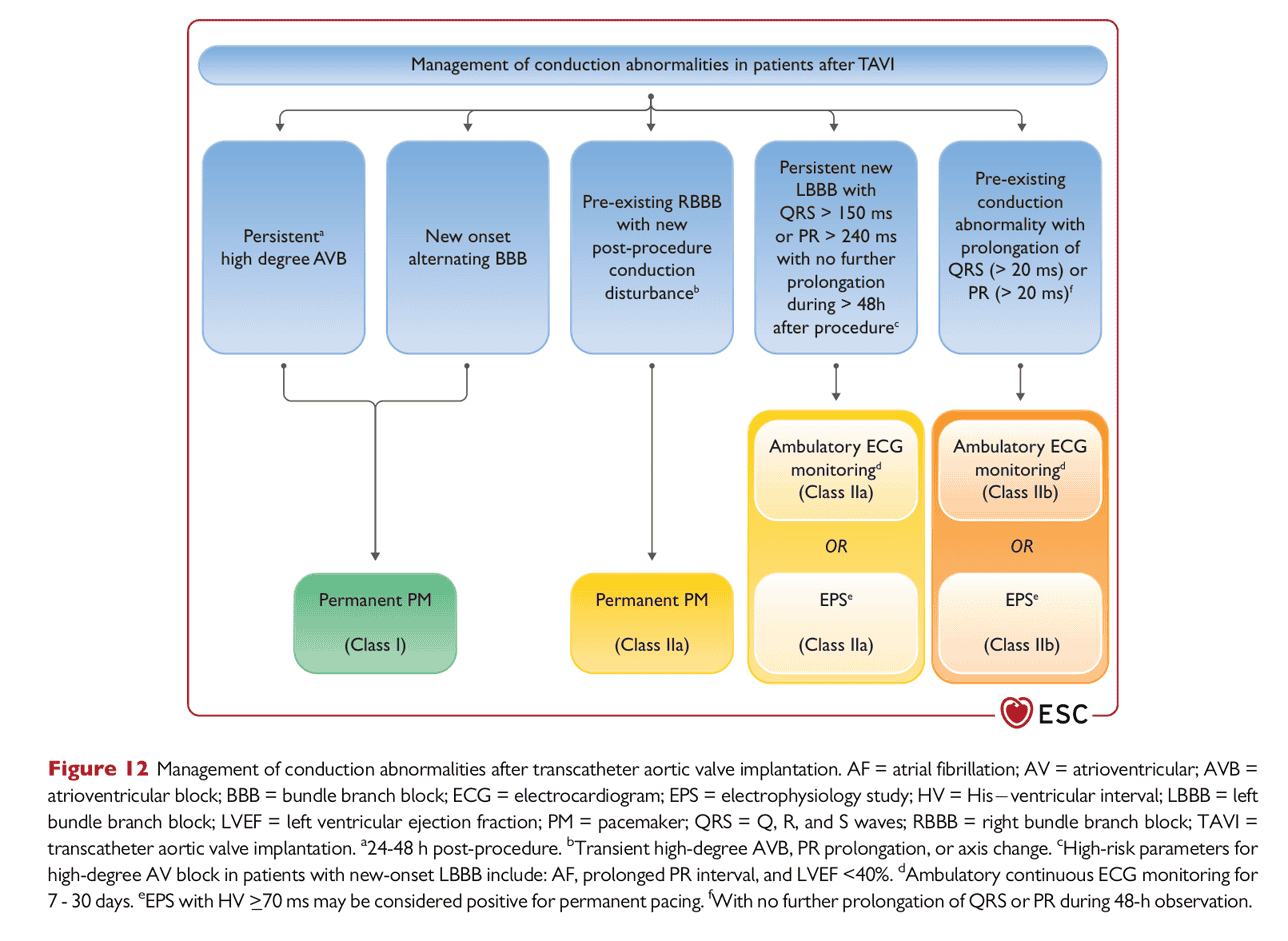 ESC pace2021 — Figure 12