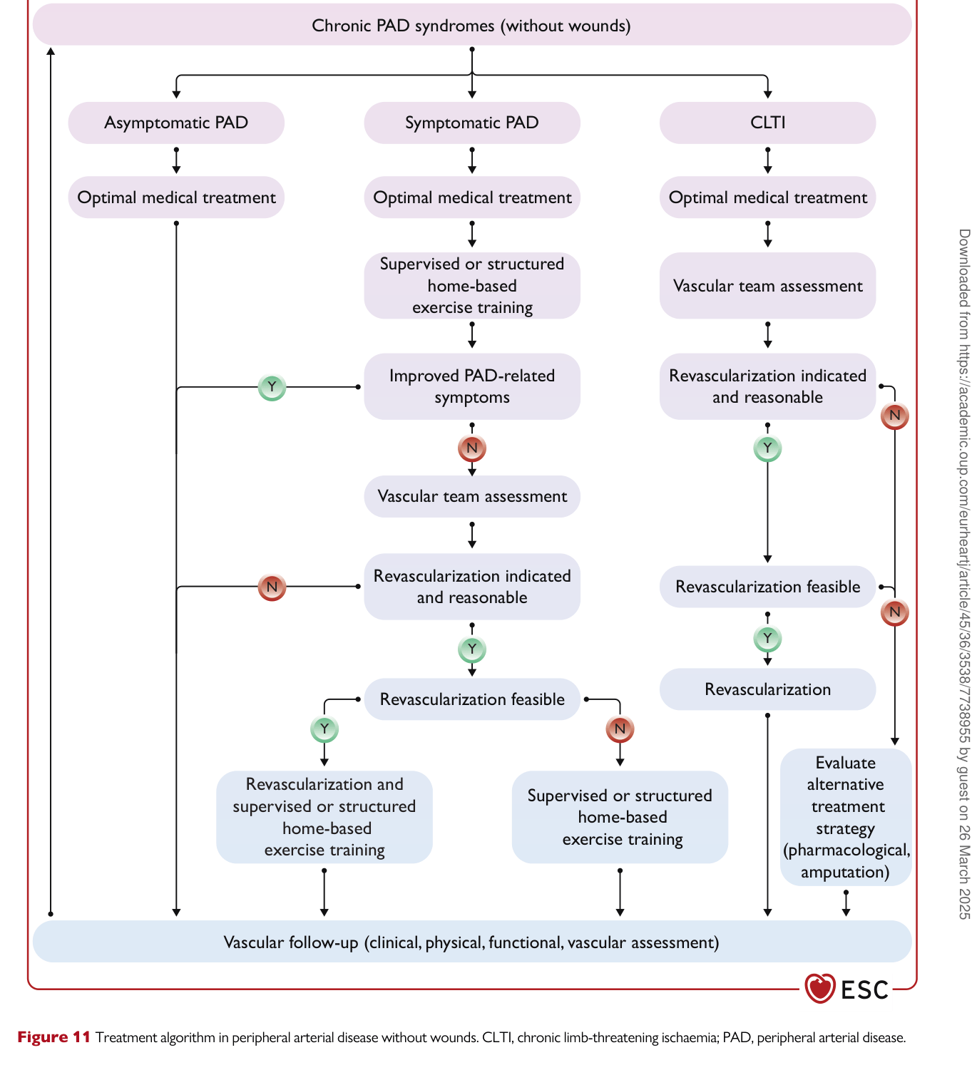 ESC 2024 PAAD — Figure 11