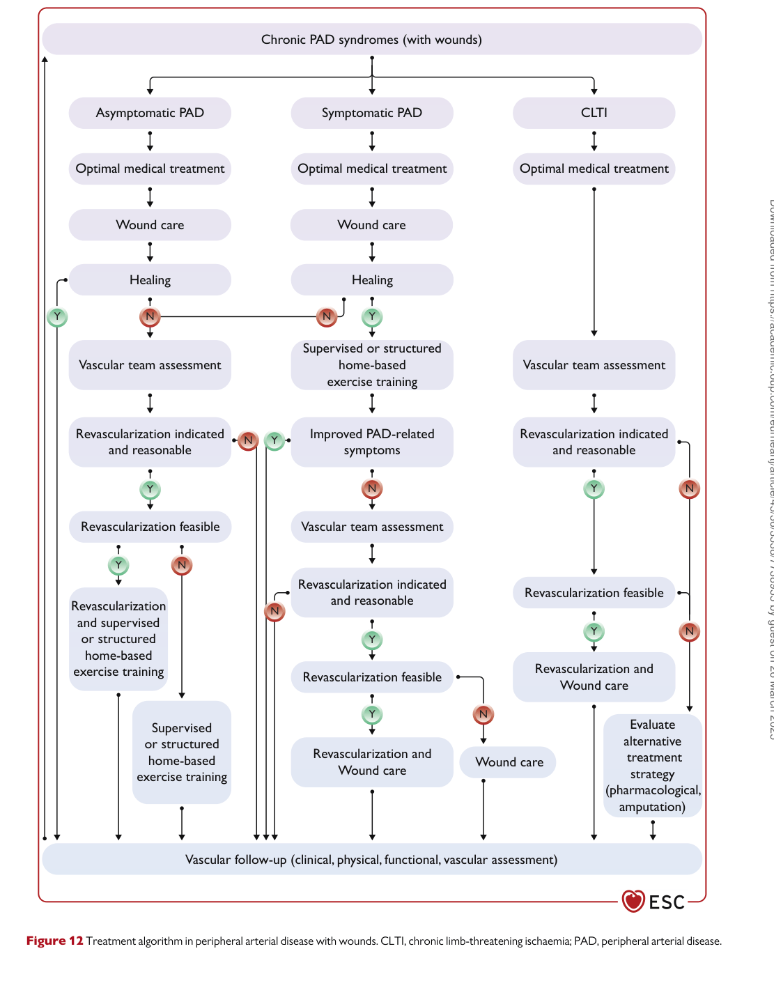 ESC 2024 PAAD — Figure 12