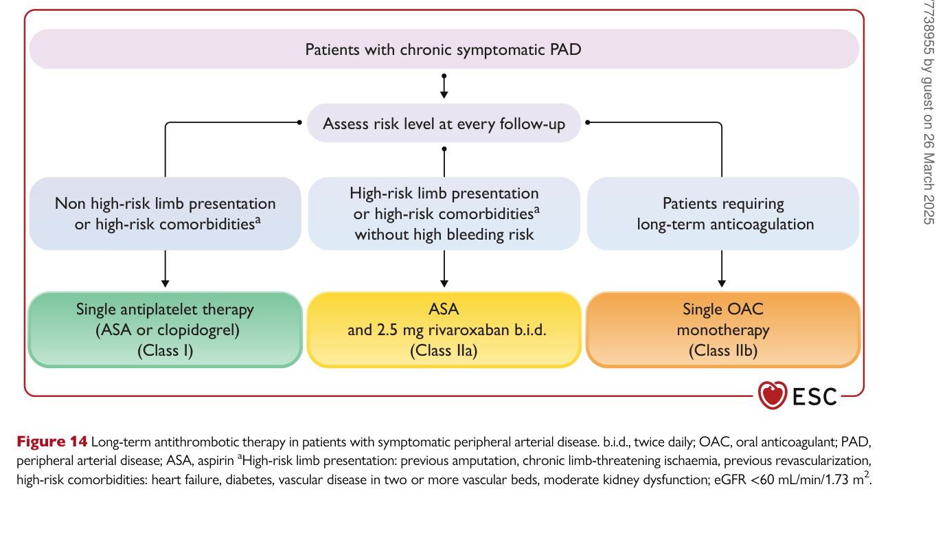 ESC 2024 PAAD — Figure 14