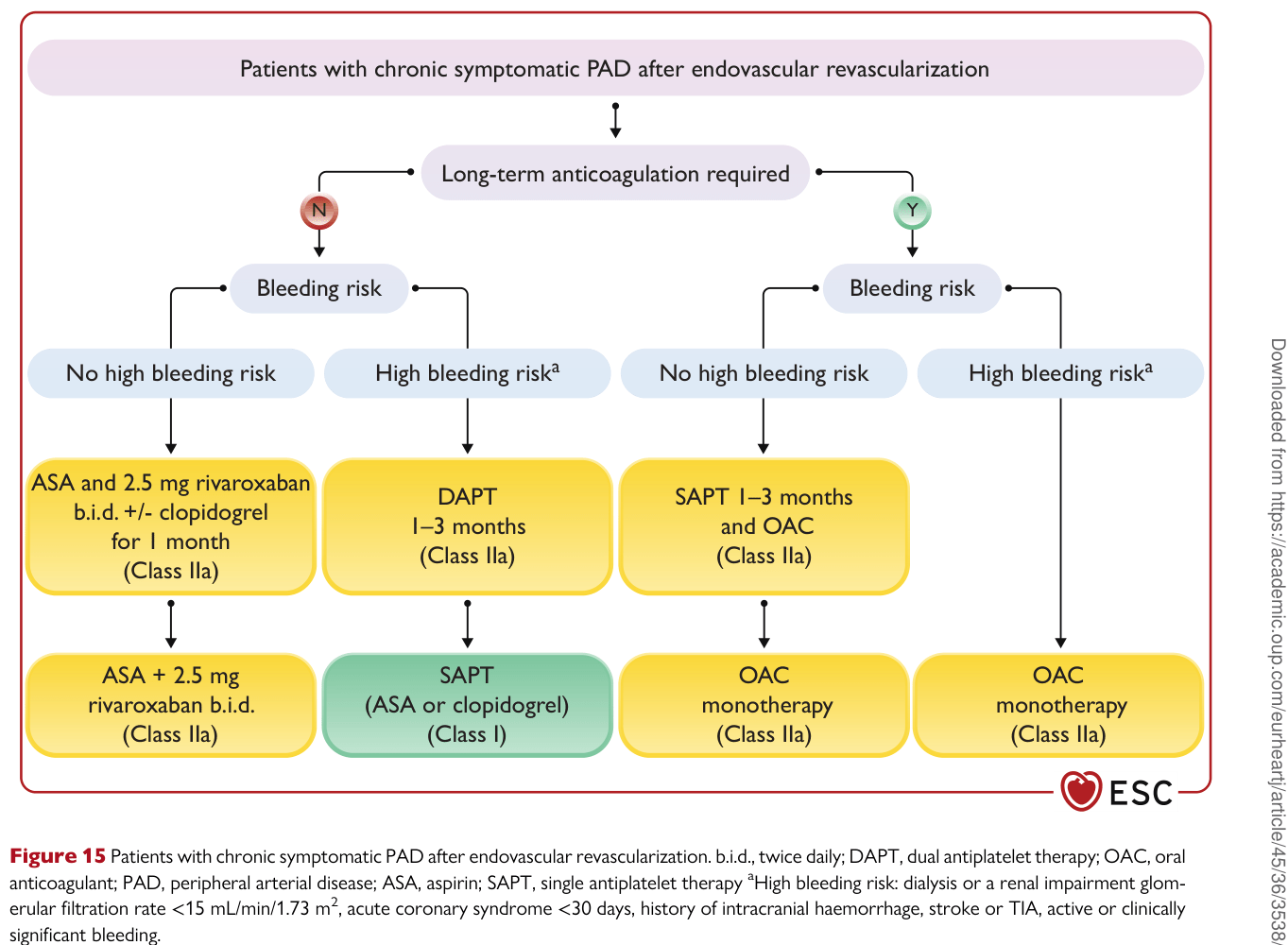 ESC 2024 PAAD — Figure 15