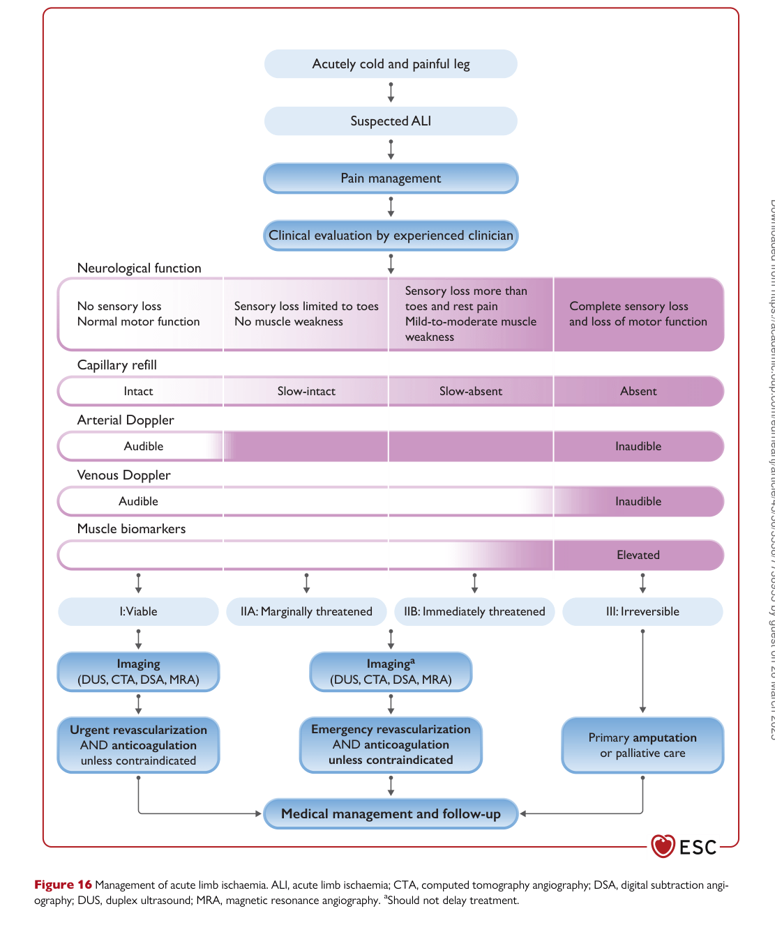 ESC 2024 PAAD — Figure 16