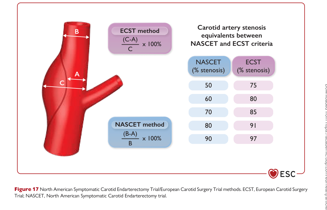 ESC 2024 PAAD — Figure 17