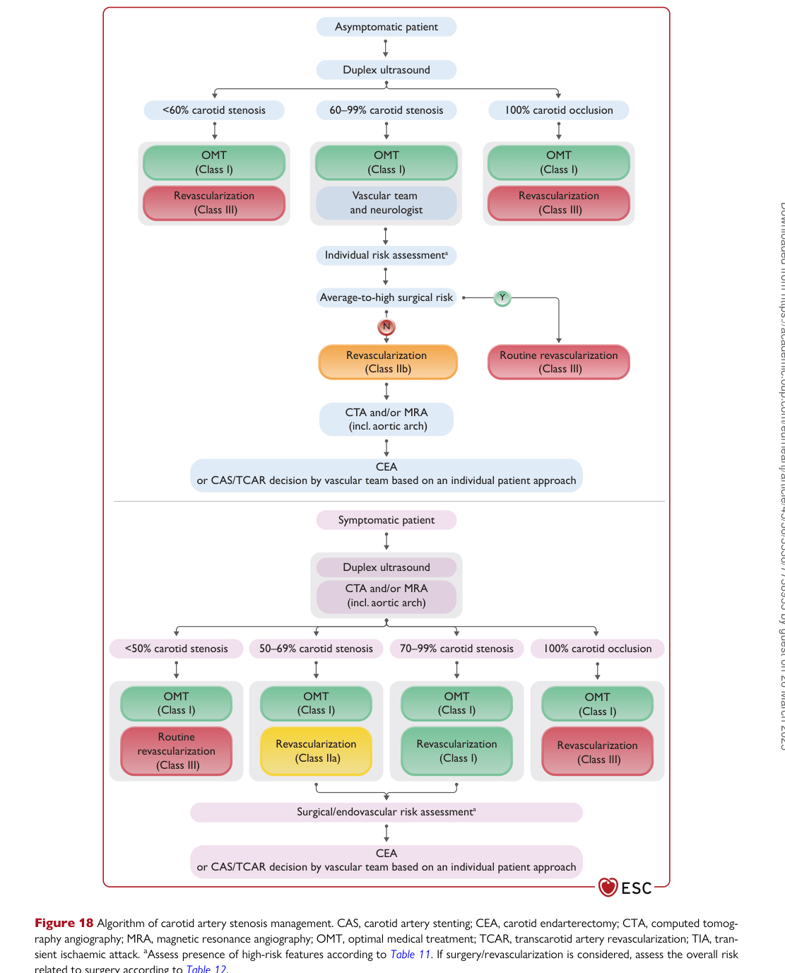 ESC 2024 PAAD — Figure 18