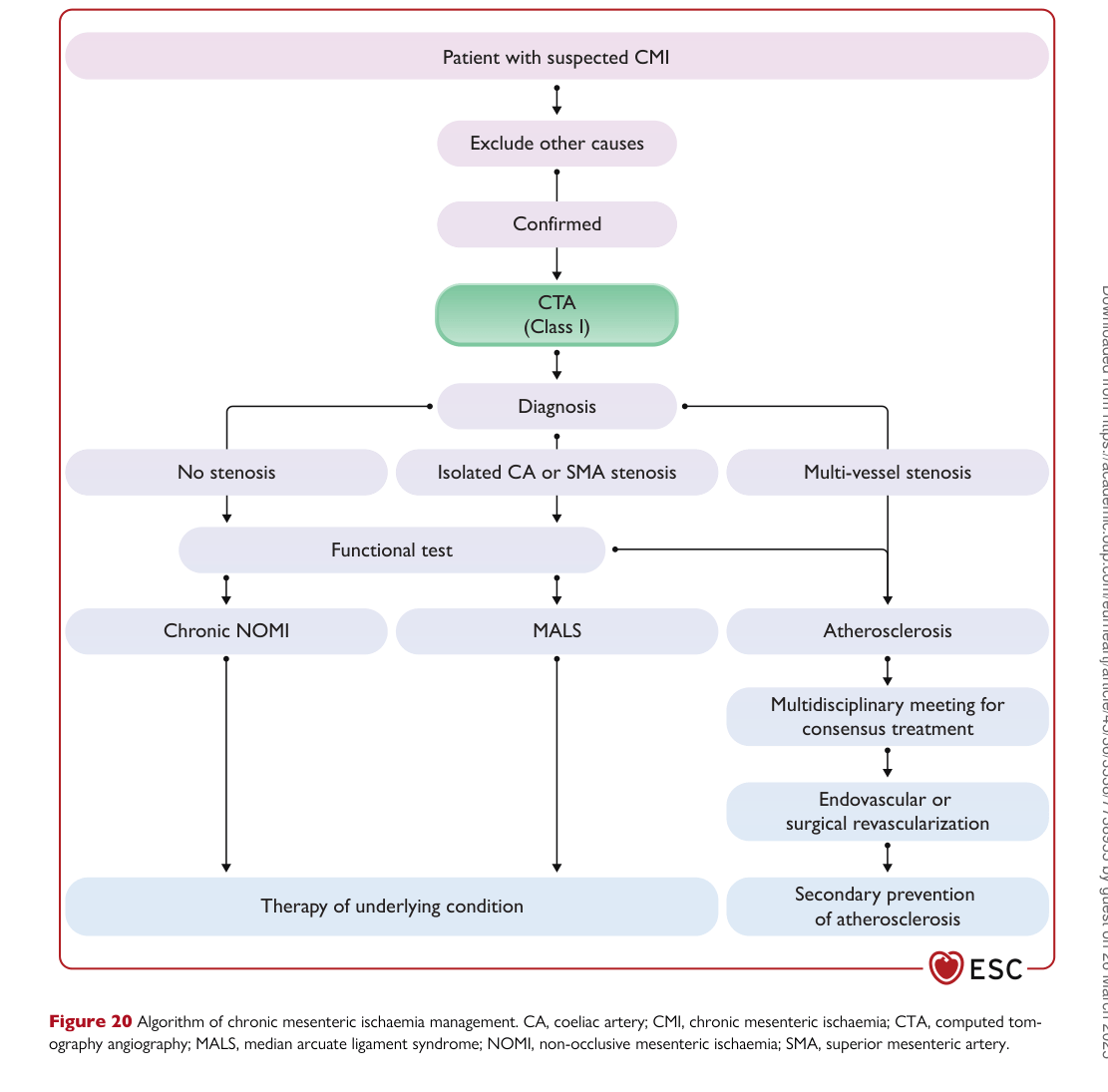 ESC 2024 PAAD — Figure 20