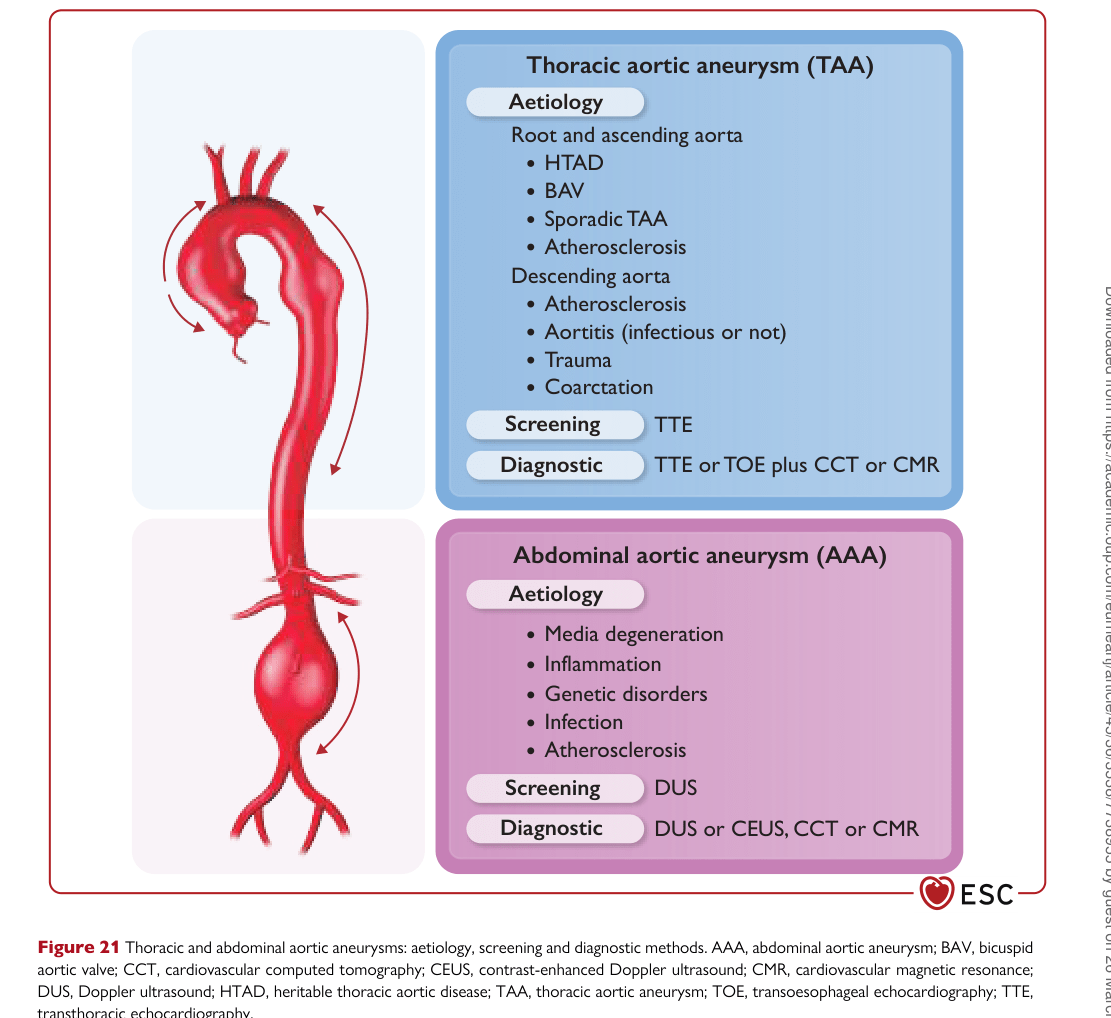 ESC 2024 PAAD — Figure 21