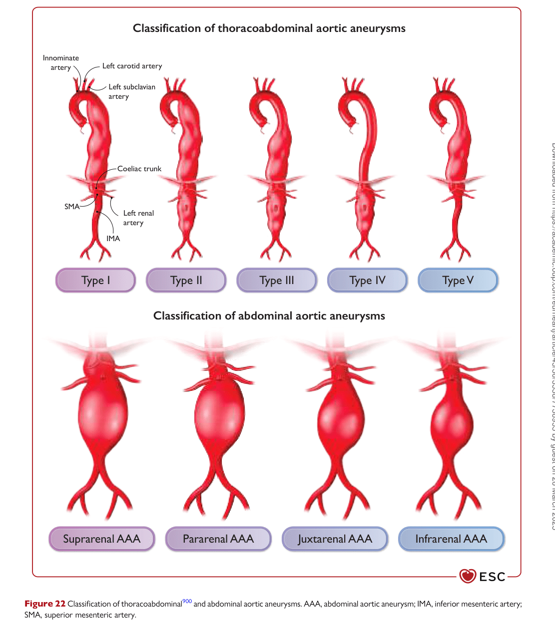 ESC 2024 PAAD — Figure 22