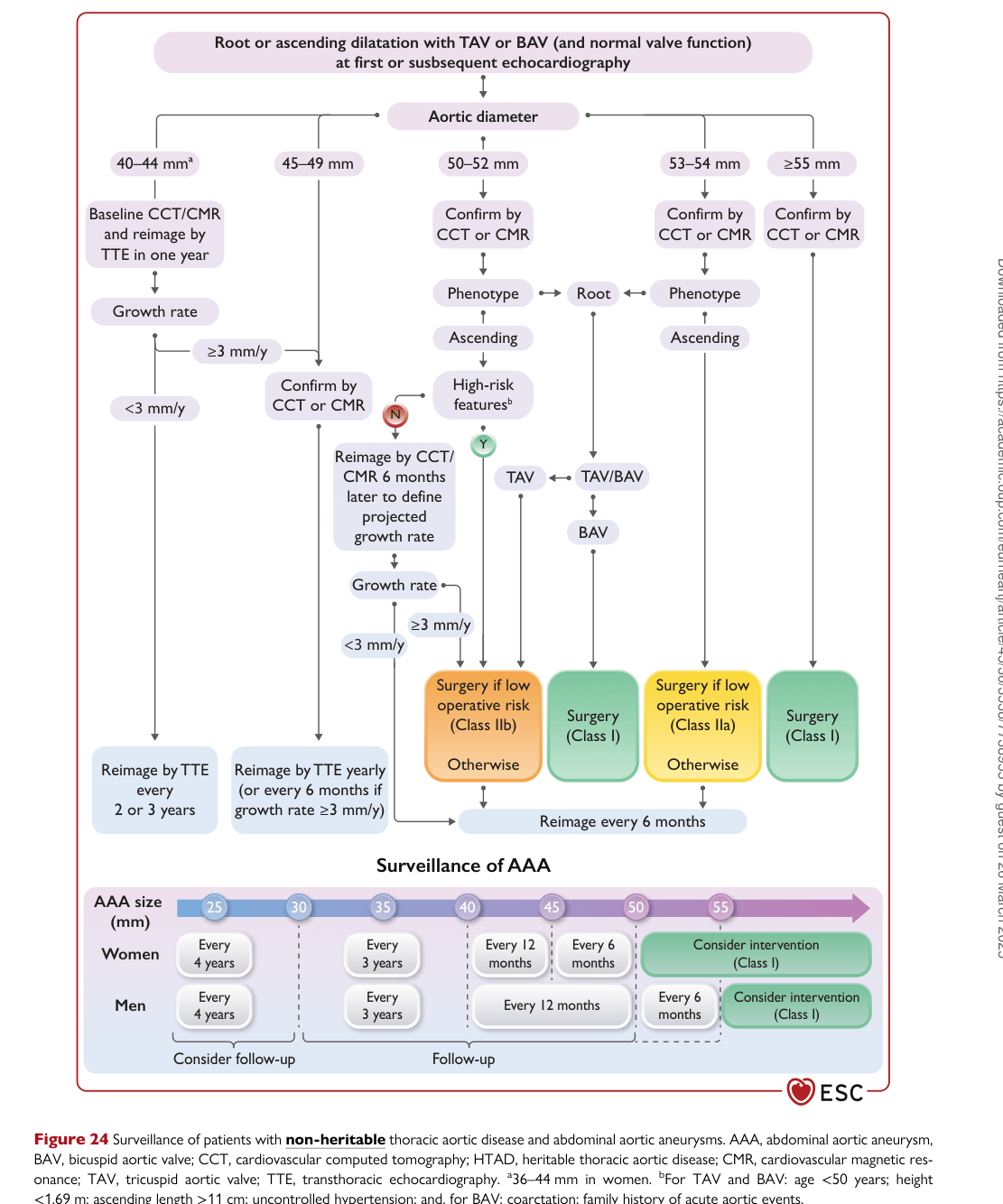 ESC 2024 PAAD — Figure 24