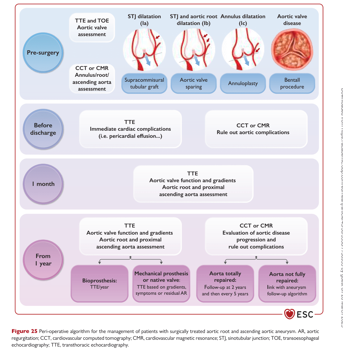 ESC 2024 PAAD — Figure 25