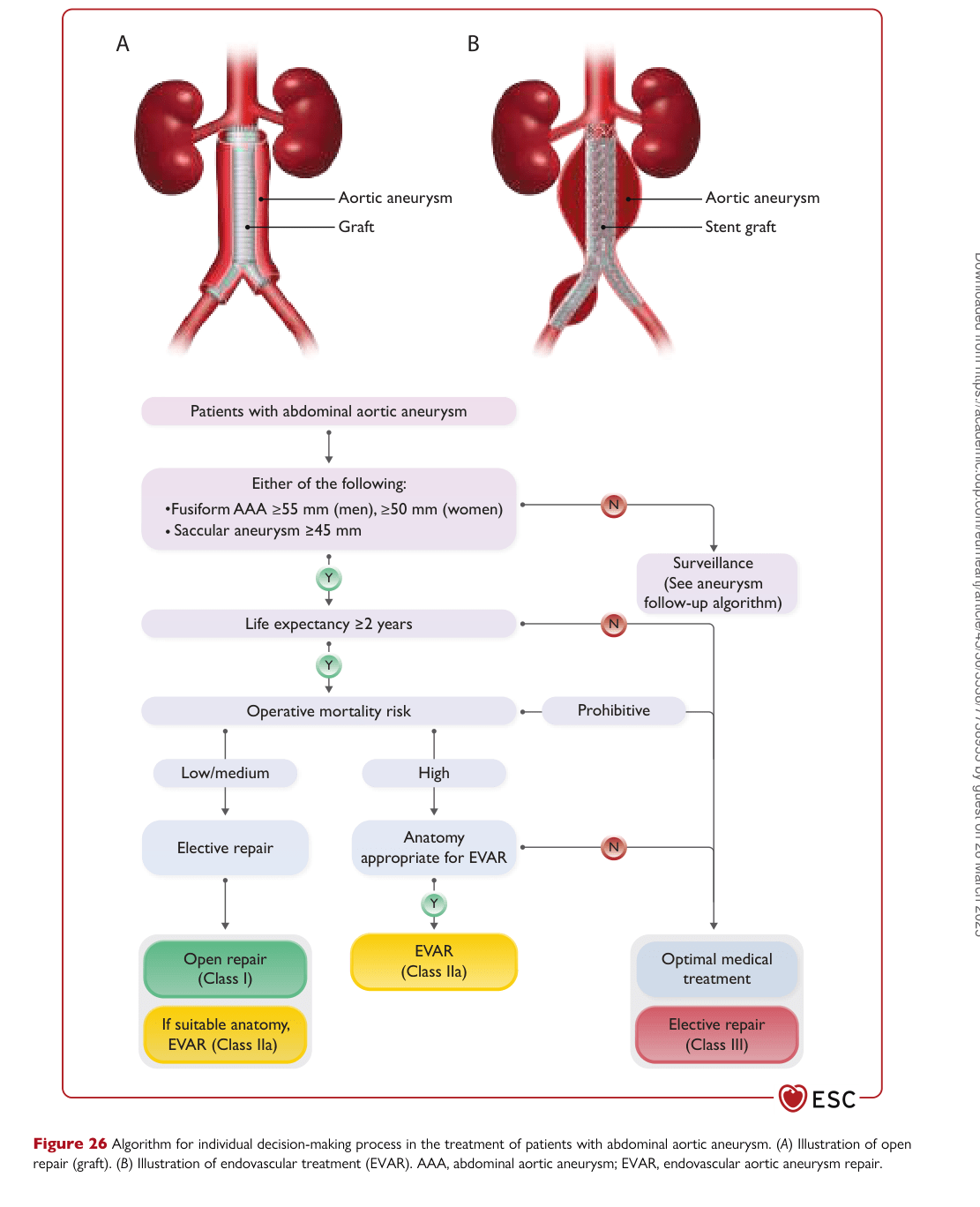 ESC 2024 PAAD — Figure 26