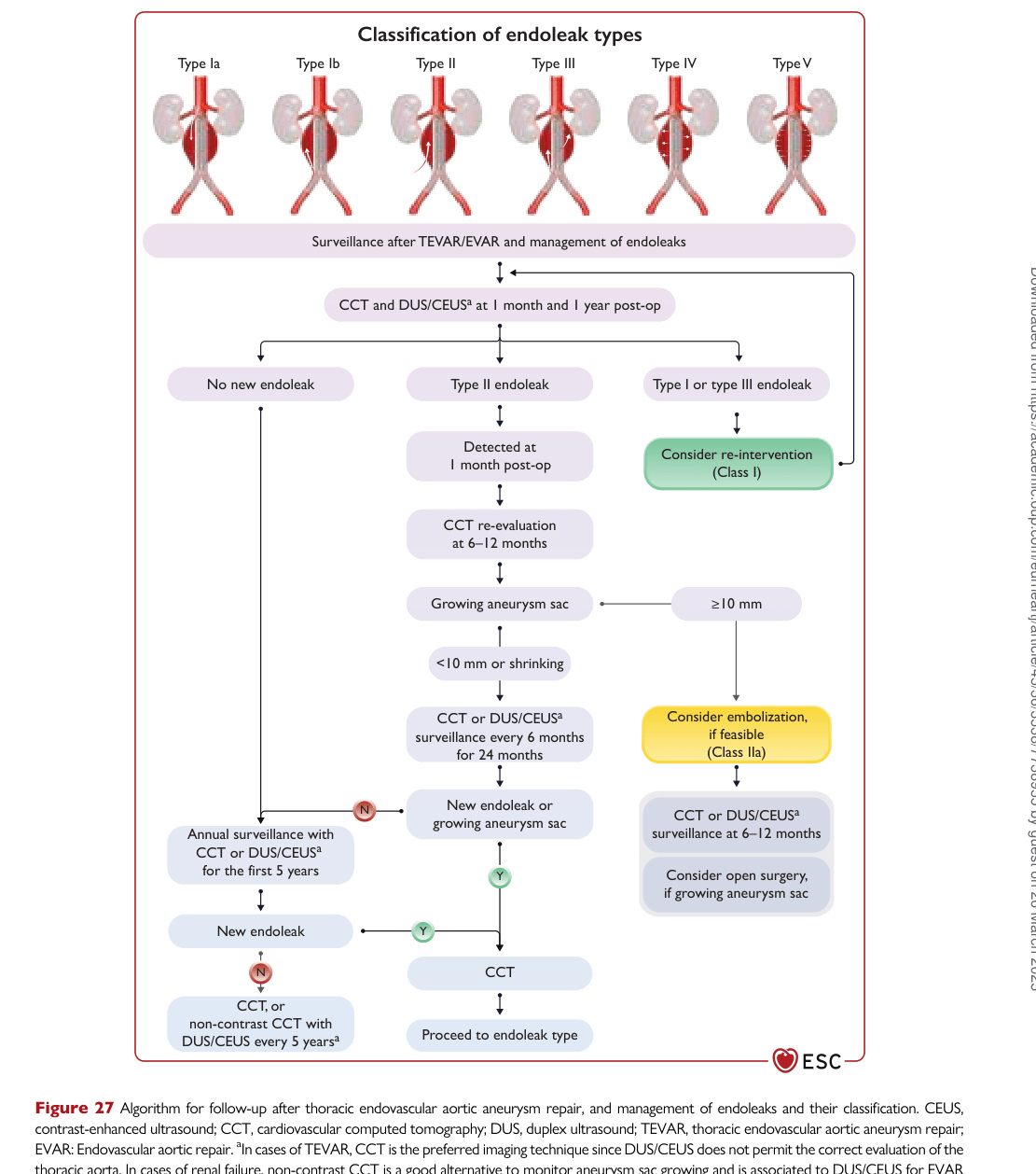 ESC 2024 PAAD — Figure 27