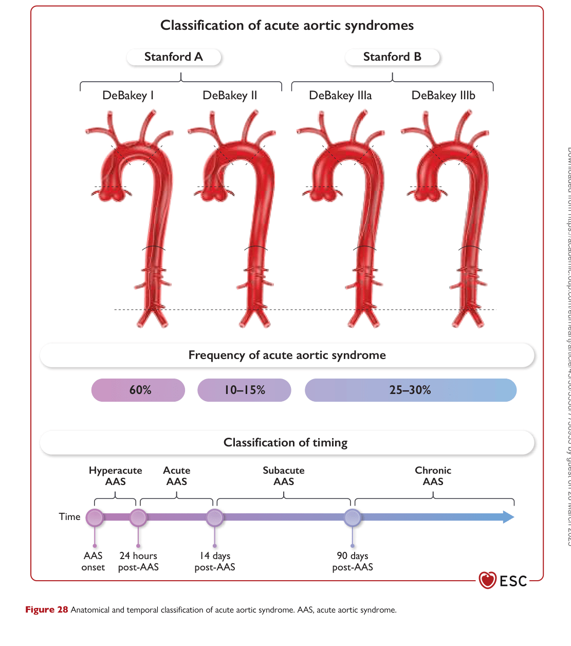 ESC 2024 PAAD — Figure 28