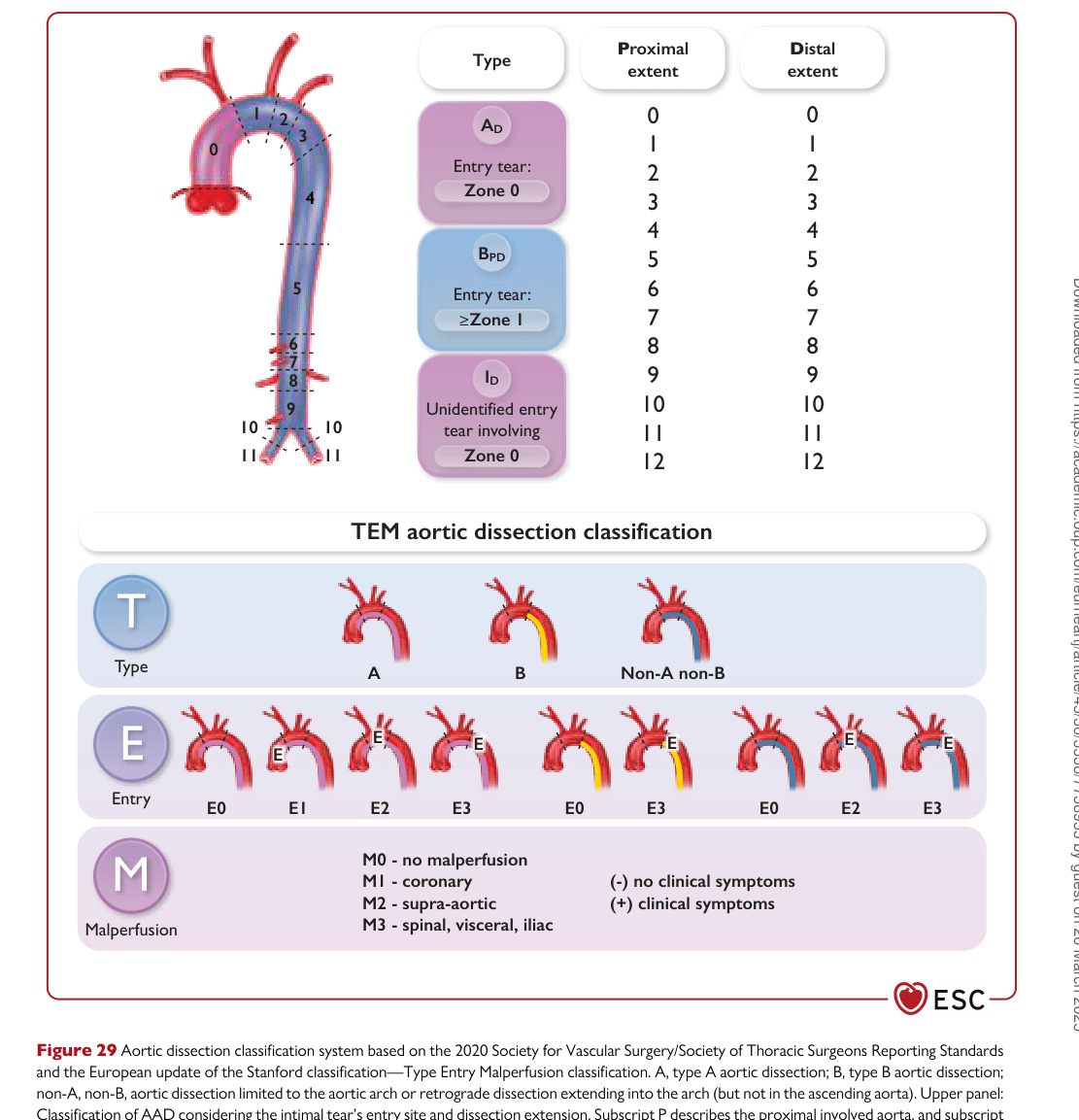 ESC 2024 PAAD — Figure 29