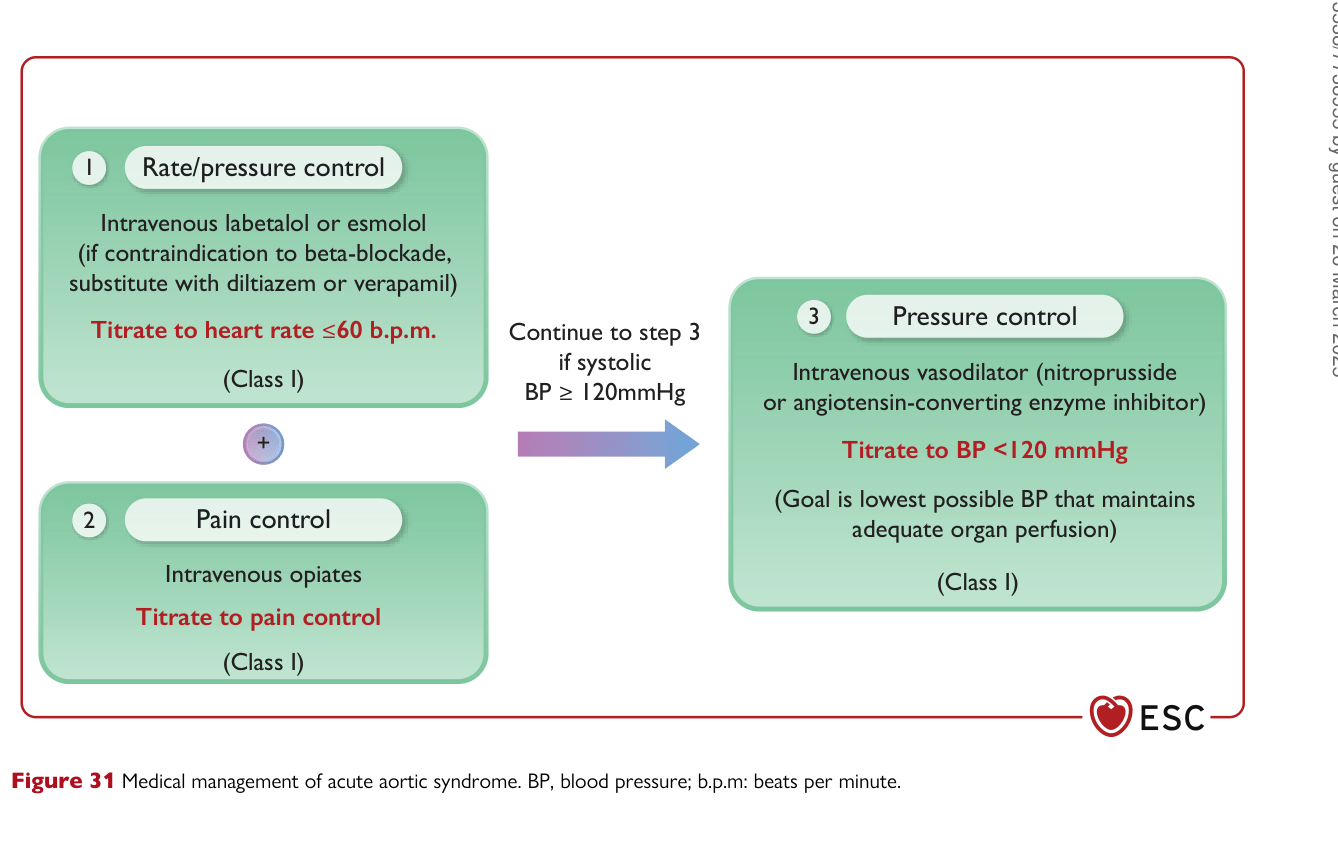 ESC 2024 PAAD — Figure 31