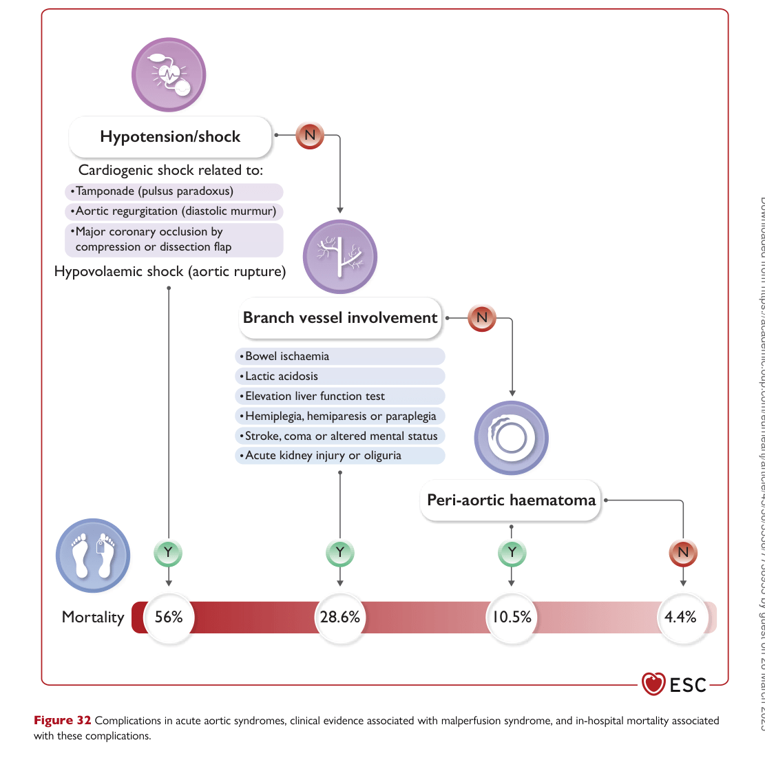 ESC 2024 PAAD — Figure 32