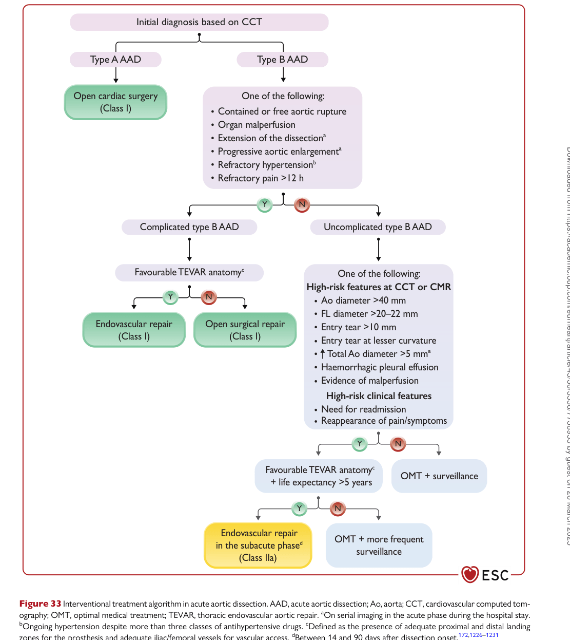 ESC 2024 PAAD — Figure 33