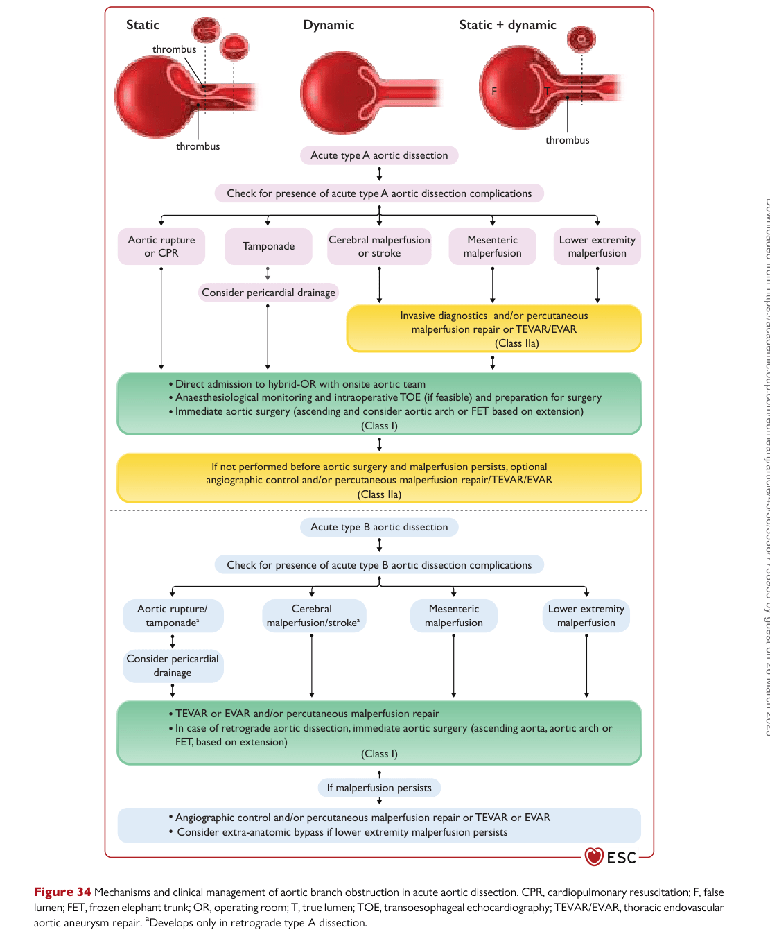 ESC 2024 PAAD — Figure 34