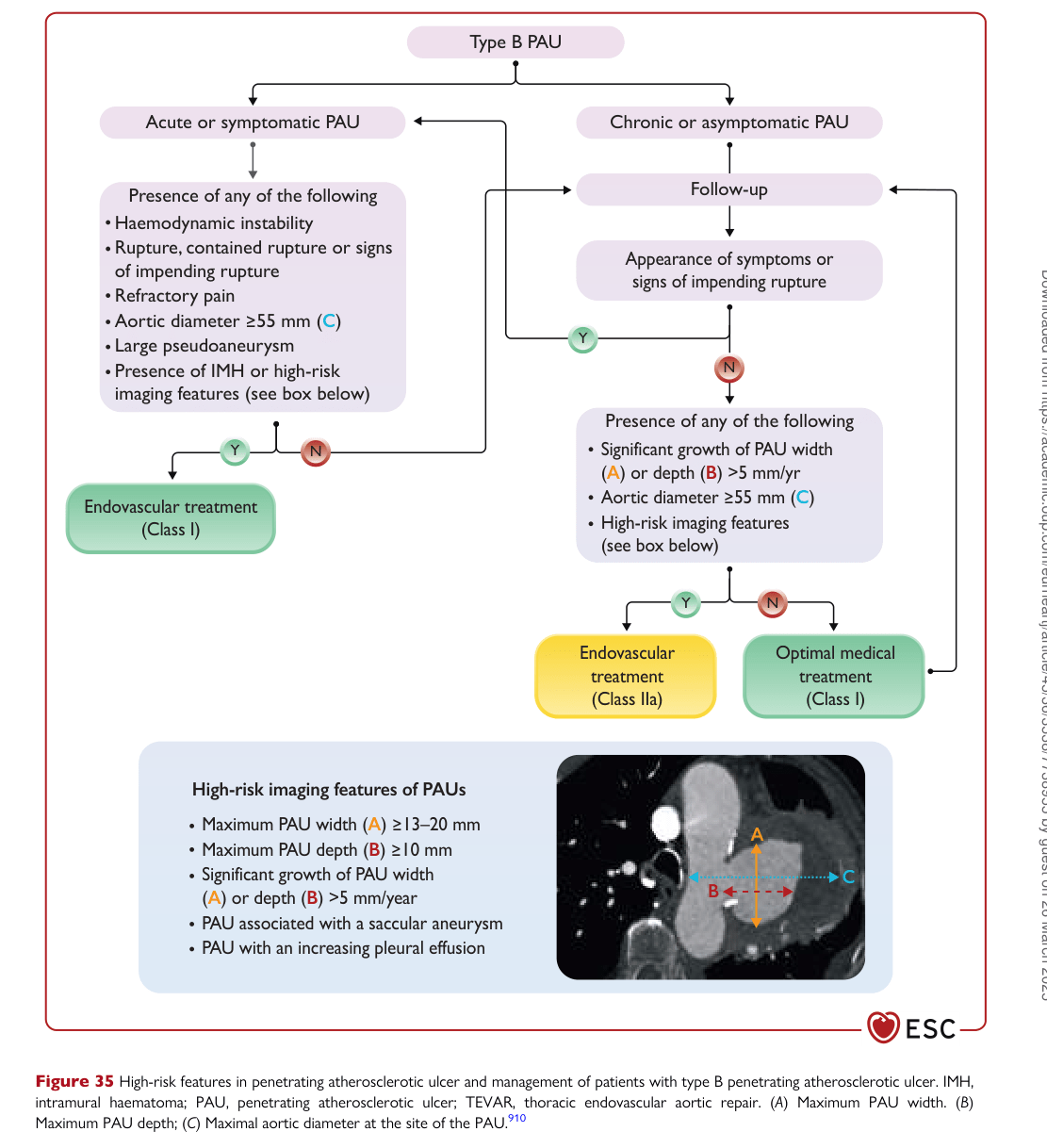 ESC 2024 PAAD — Figure 35