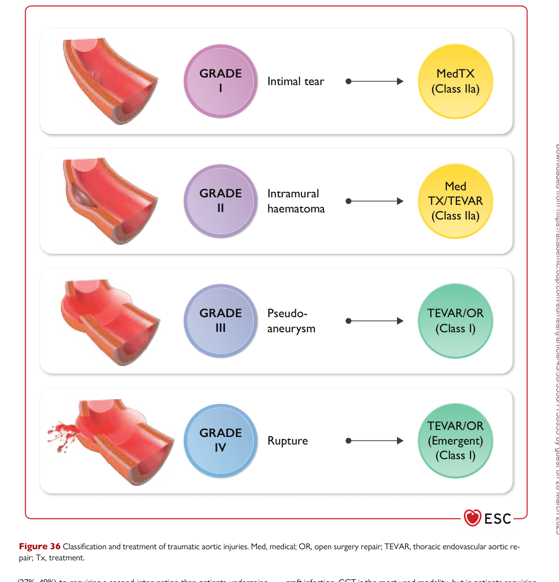 ESC 2024 PAAD — Figure 36