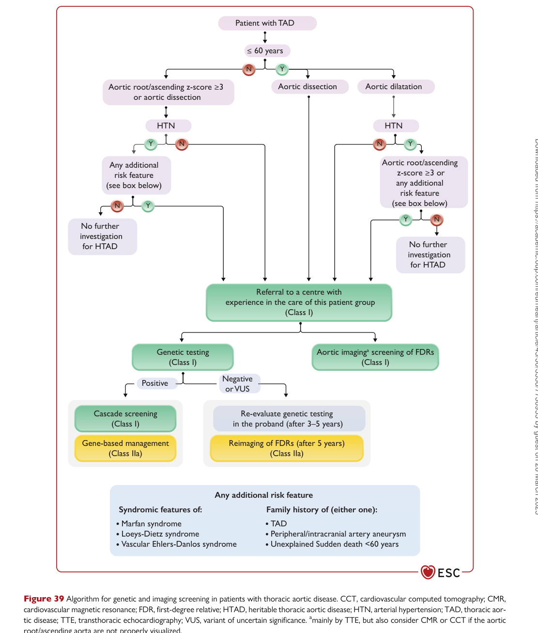 ESC 2024 PAAD — Figure 39