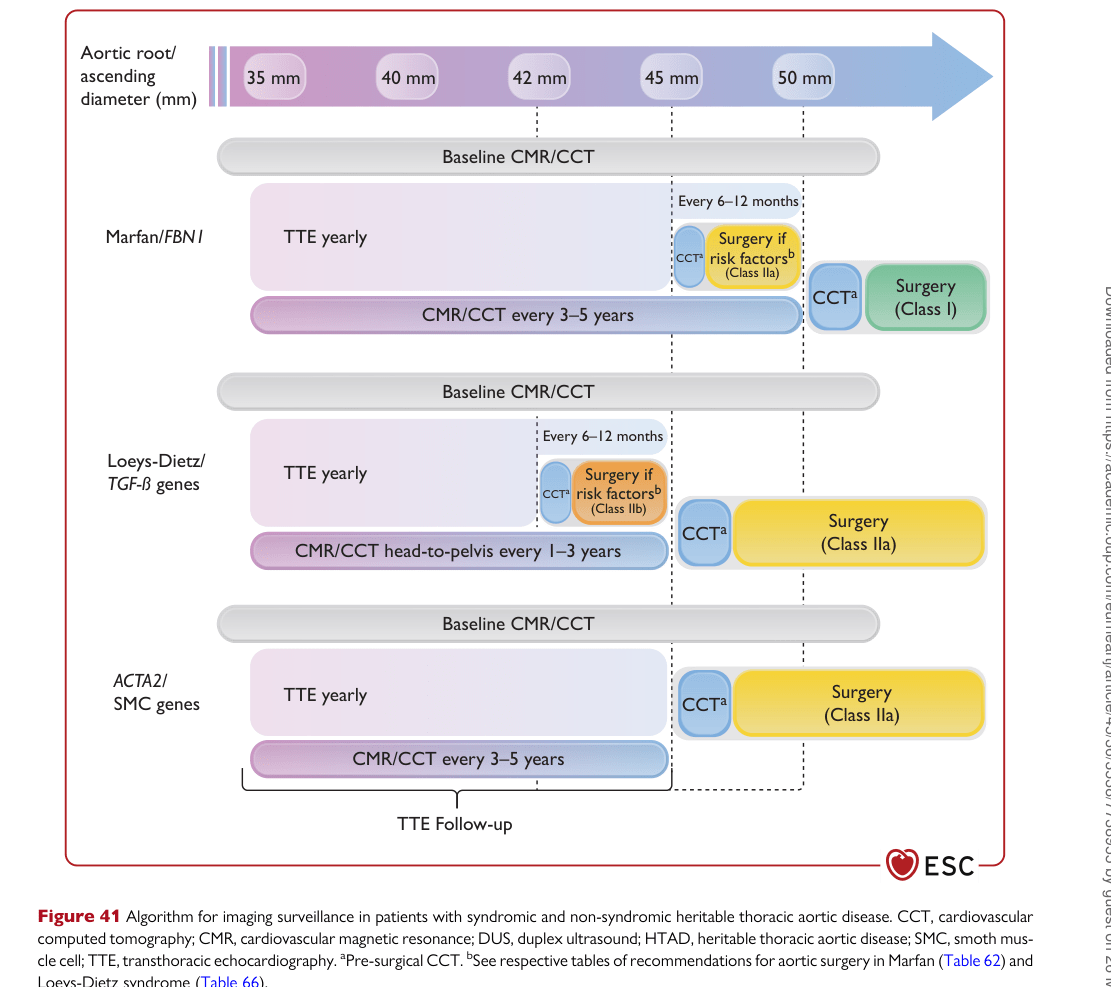 ESC 2024 PAAD — Figure 41